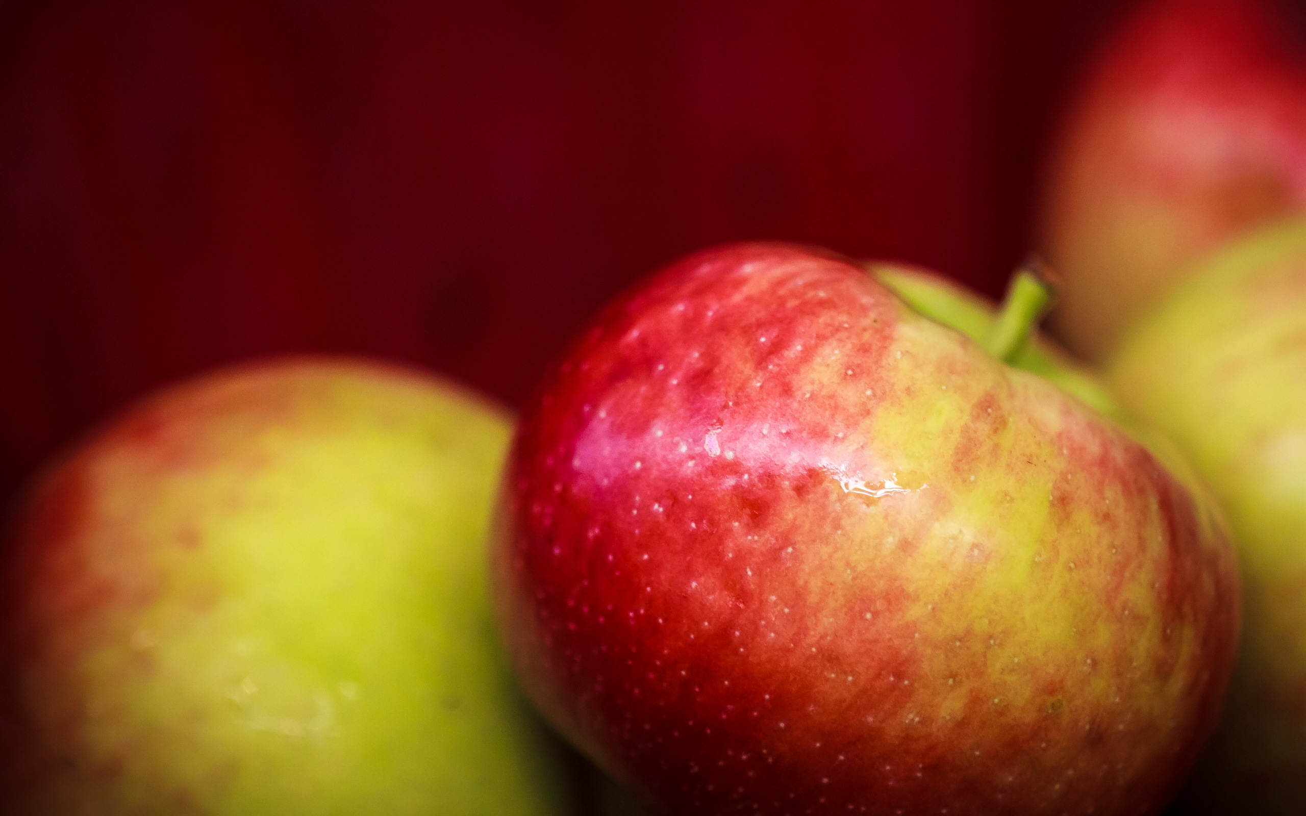 Обои макро, фон, фрукты, яблоки, яблок, macro, background, fruit, apples разрешение 2560x1600 Загрузить