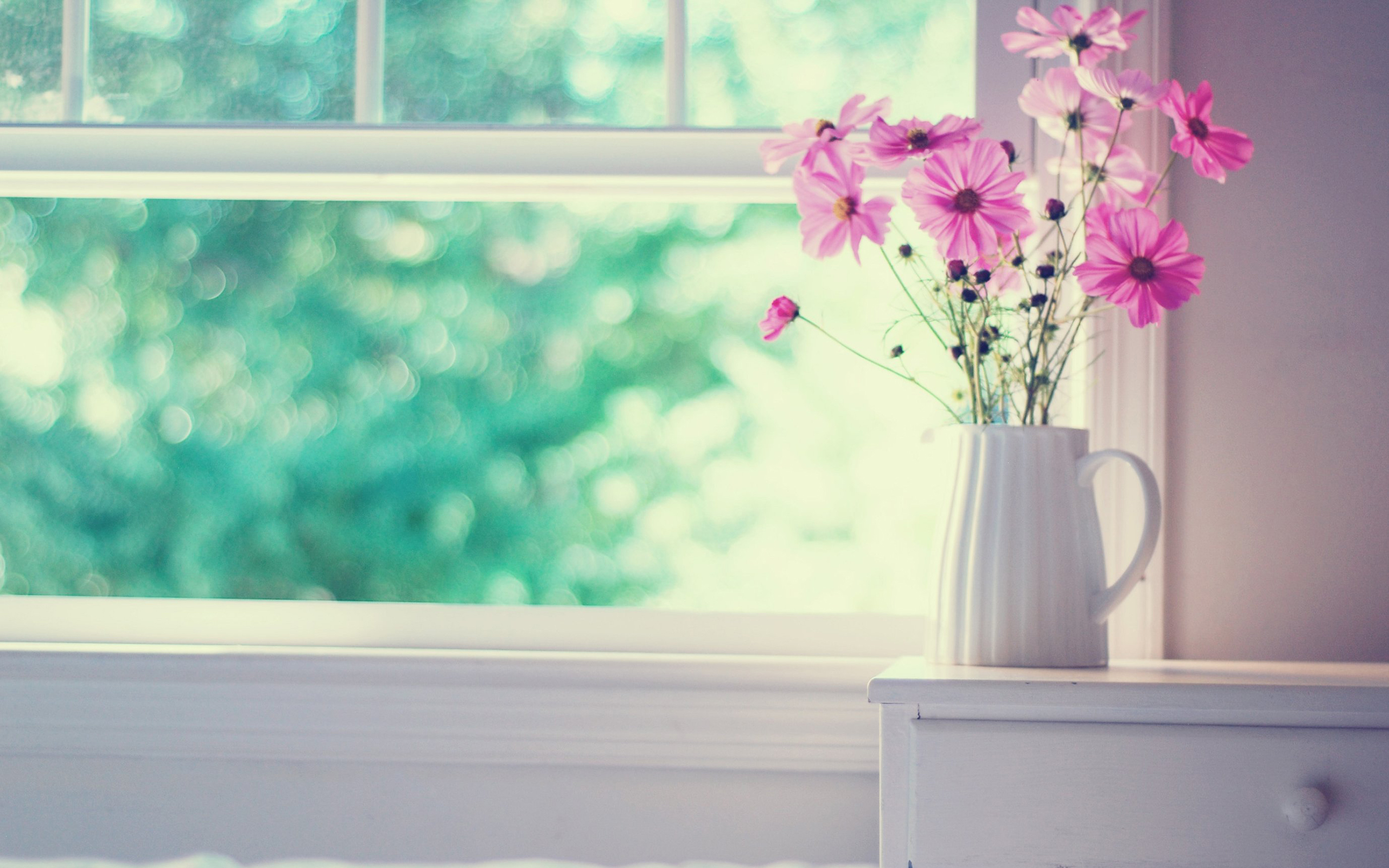 Обои цветы, букет, окно, ваза, космея, flowers, bouquet, window, vase, kosmeya разрешение 2560x1600 Загрузить