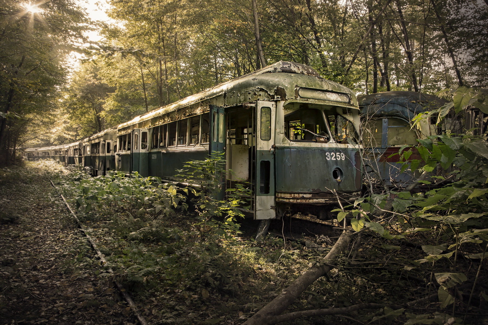 Обои природа, поезд, вагоны, лом, nature, train, cars, scrap разрешение 1920x1280 Загрузить