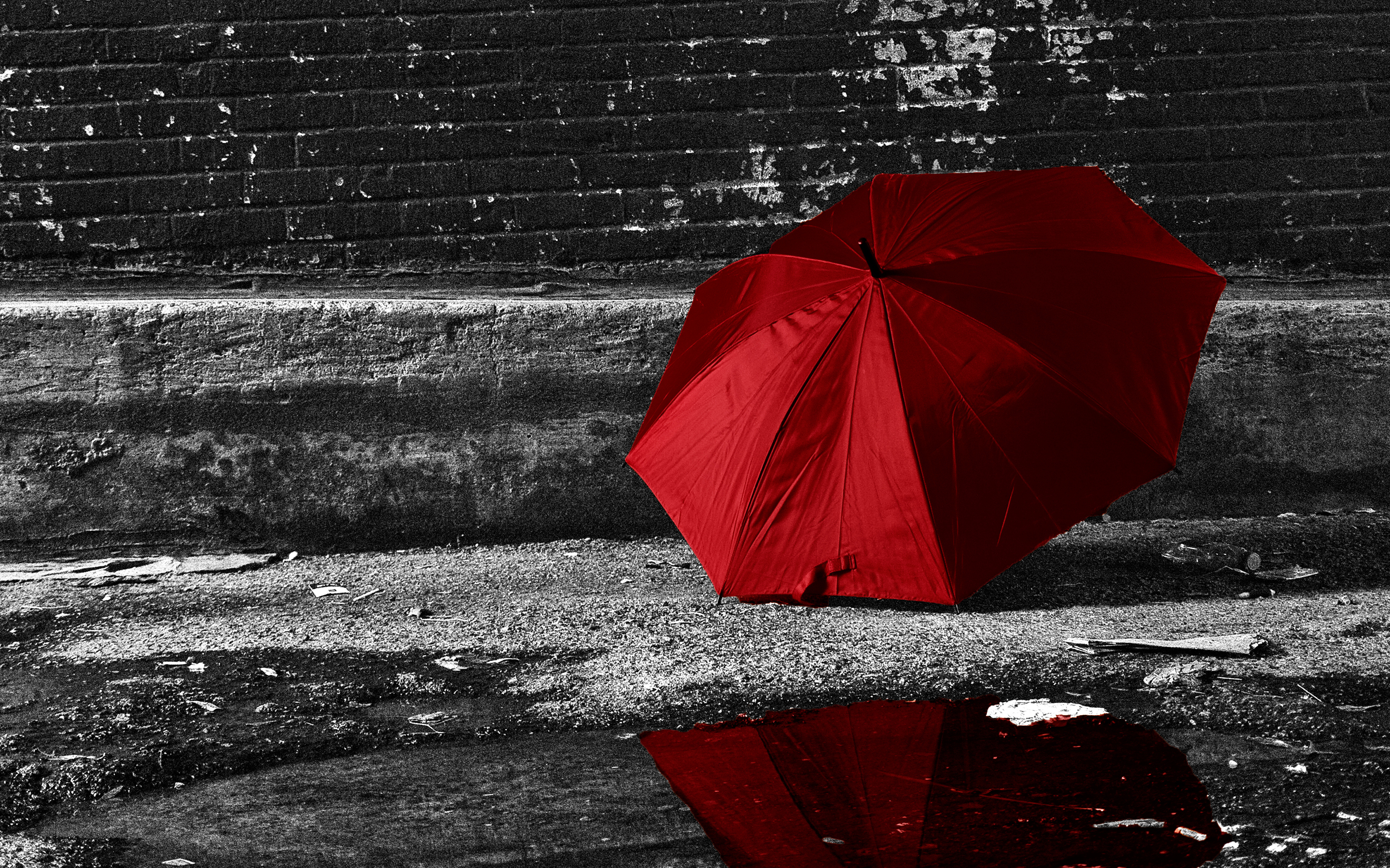 Красно черные фотографии. Красный зонт. Дождь зонт. Черно белые с цветными элементами. Девушка с красным зонтом.