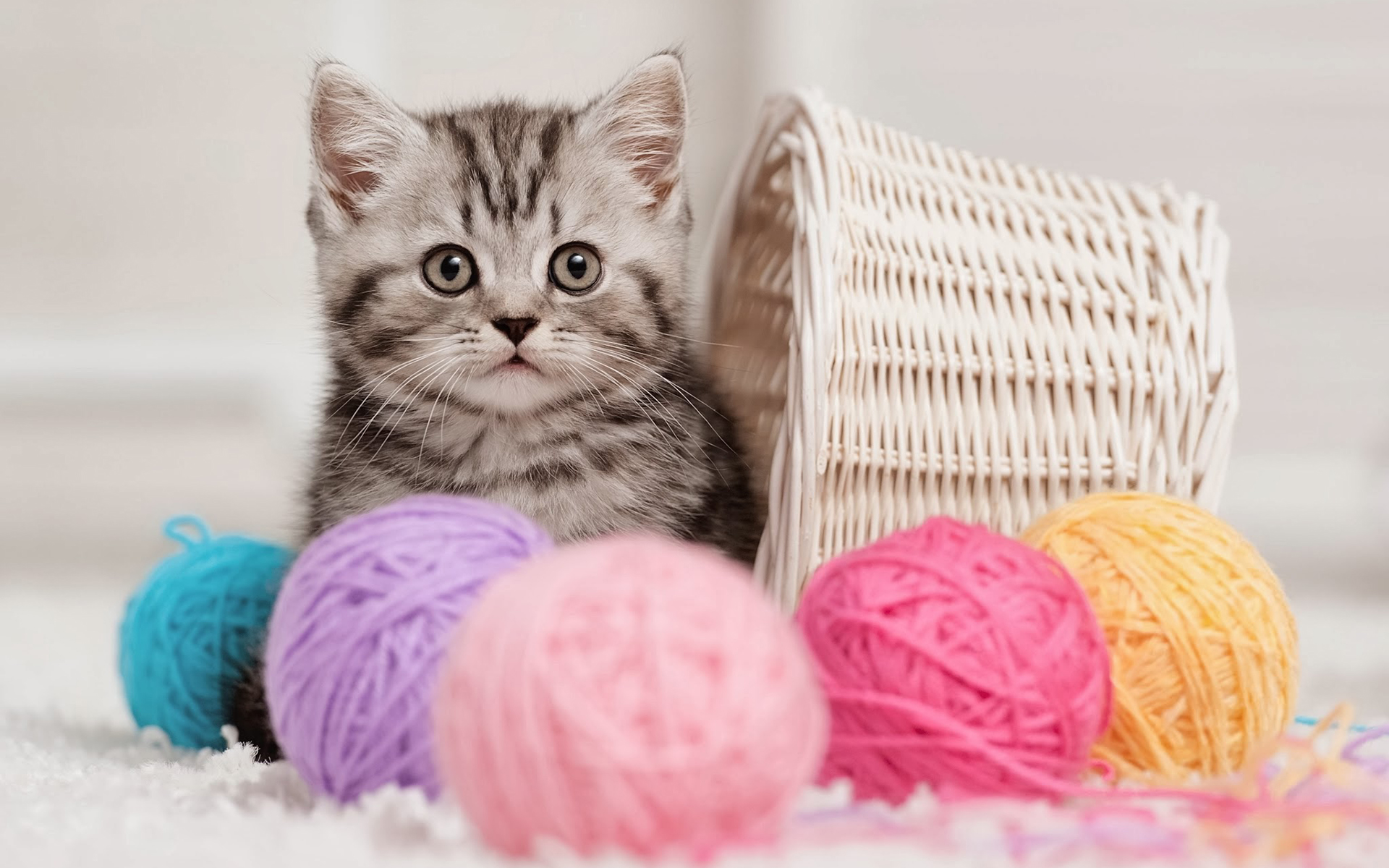 Обои кошка, котенок, корзина, клубки, нитки, cat, kitty, basket, balls, thread разрешение 1920x1200 Загрузить