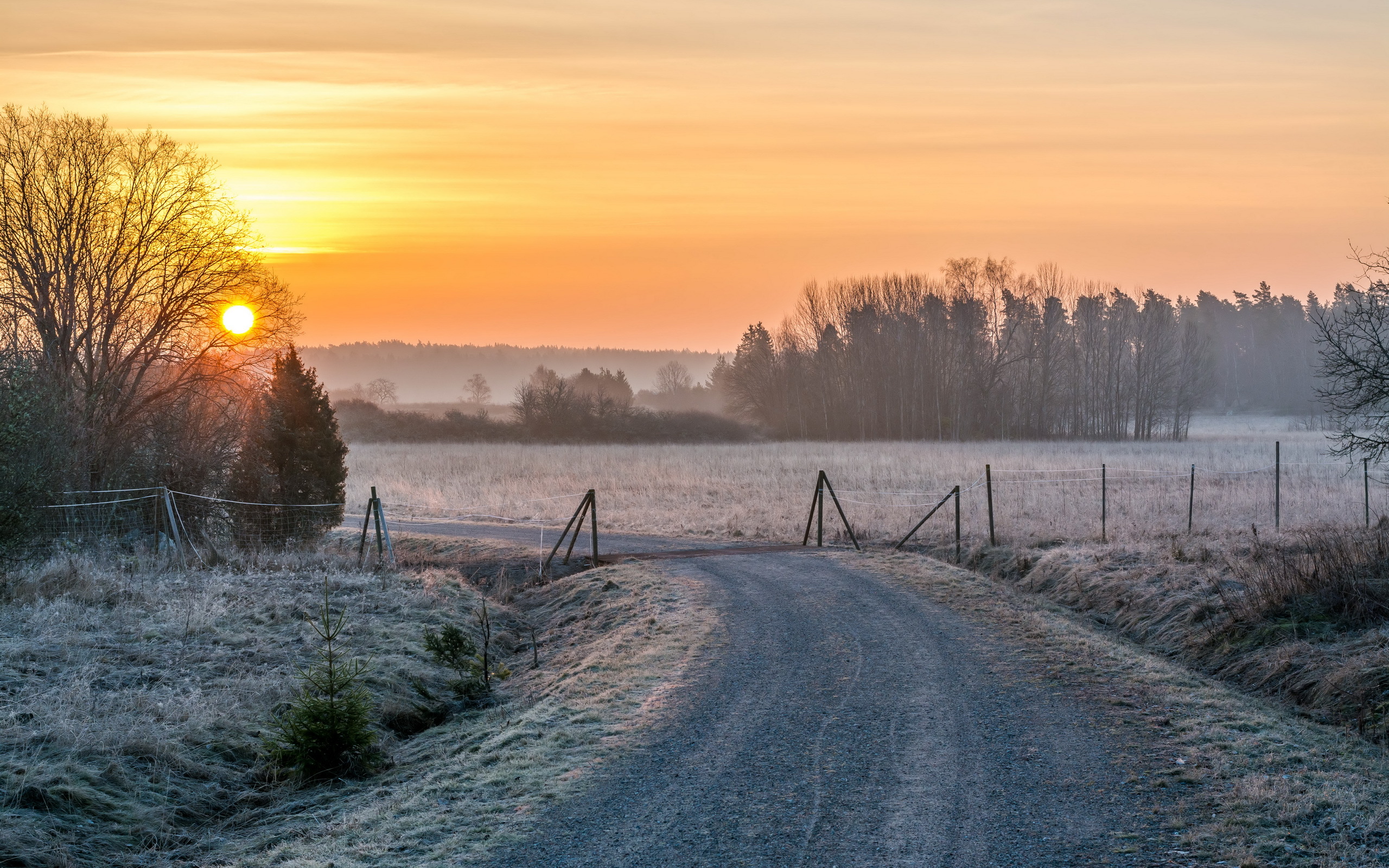 Обои дорога, снег, закат, зима, пейзаж, road, snow, sunset, winter, landscape разрешение 2560x1600 Загрузить