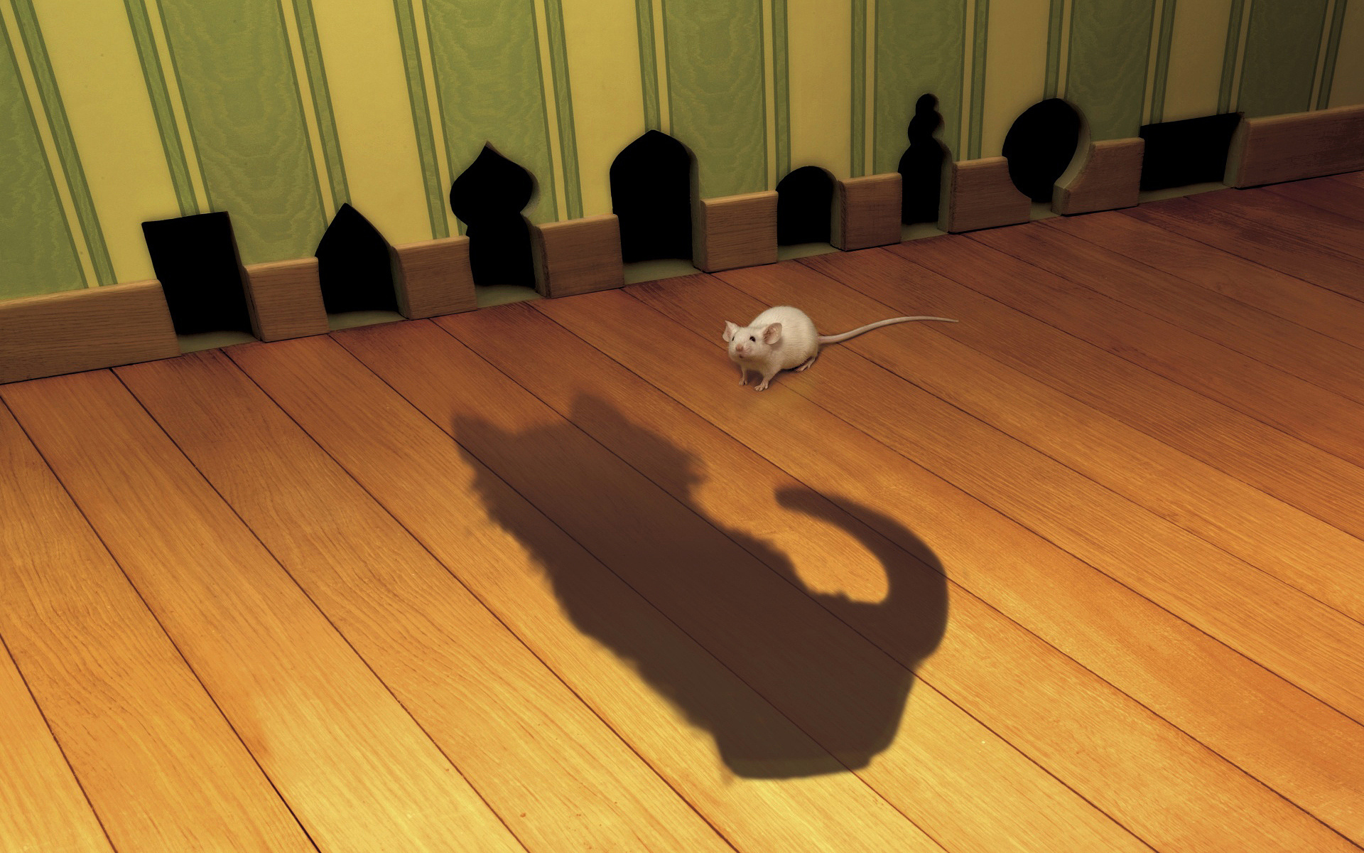 Обои кот, тень, мышь, cat, shadow, mouse разрешение 1920x1200 Загрузить