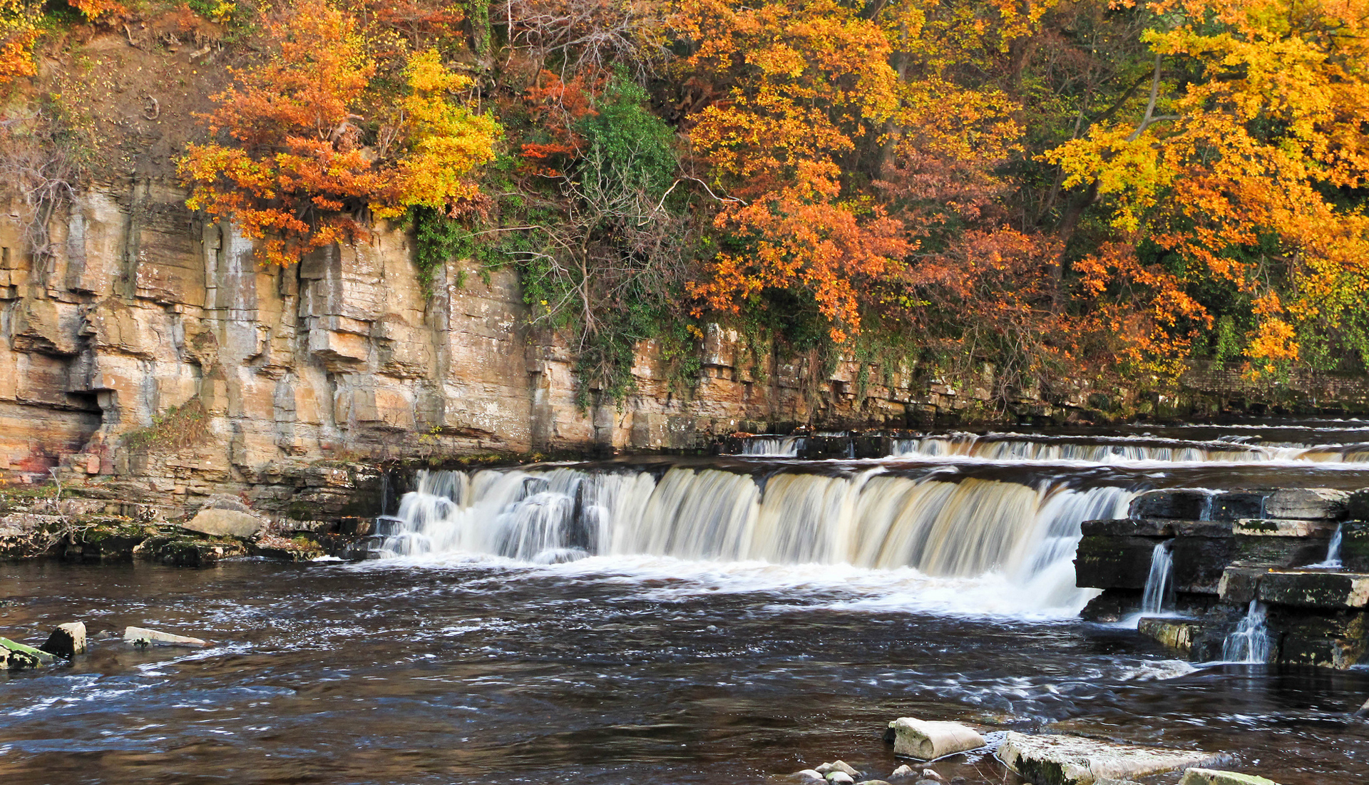 Обои деревья, река, горы, скалы, пороги, осень, richmond falls, trees, river, mountains, rocks, thresholds, autumn разрешение 1920x1101 Загрузить