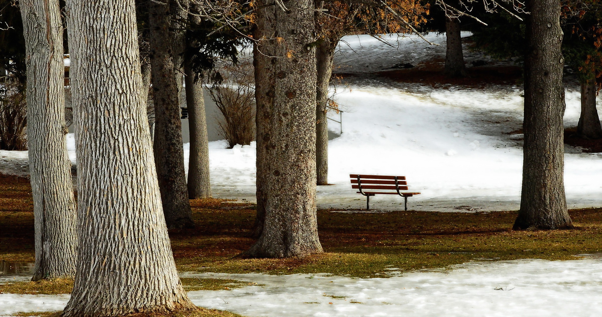 Обои парк, город, скамья, park, the city, bench разрешение 2050x1080 Загрузить