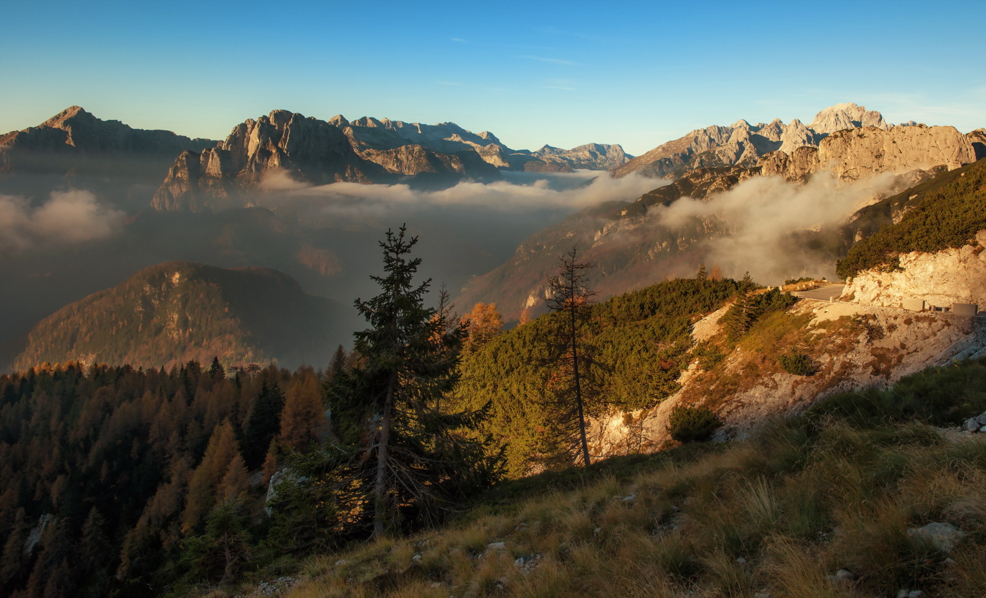 Обои деревья, горы, пейзаж, утро, туман, trees, mountains, landscape, morning, fog разрешение 1920x1165 Загрузить