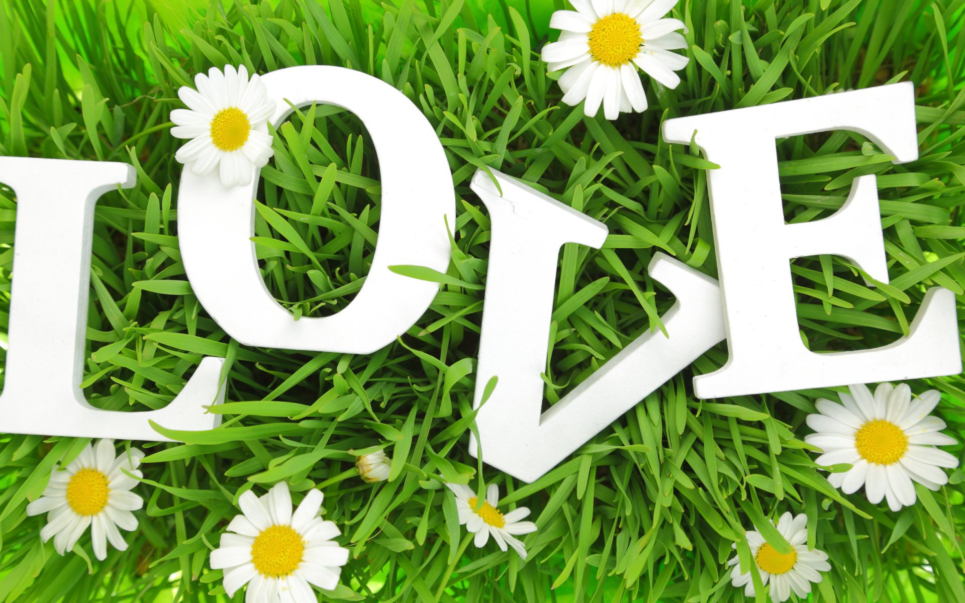 Обои трава, буквы, любовь, ромашки, влюбленная, grass, letters, love, chamomile разрешение 1920x1200 Загрузить