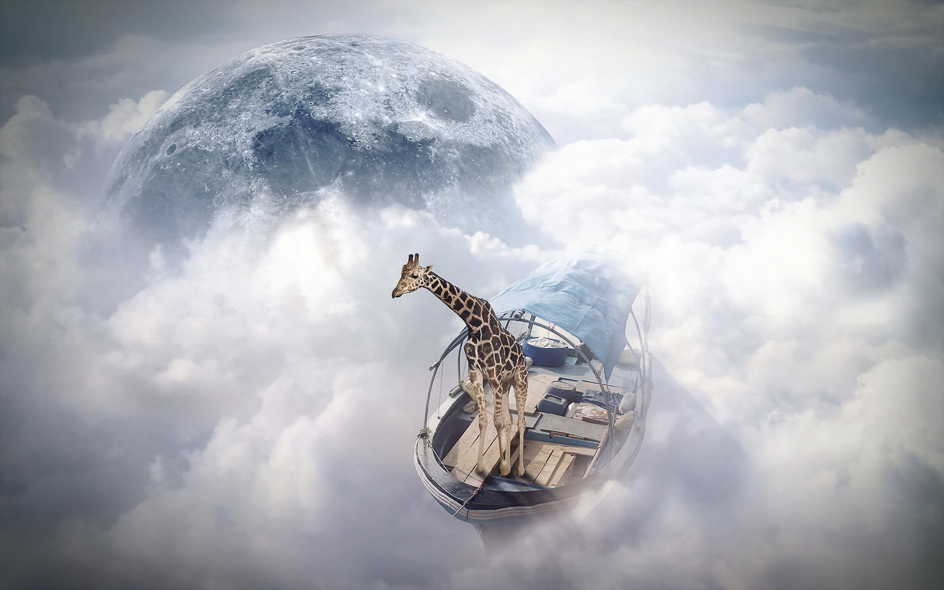 Обои жираф, finearts, небо моряк, фотоманипуляция, giraffe, sky sailor, photo manipulation разрешение 1920x1200 Загрузить