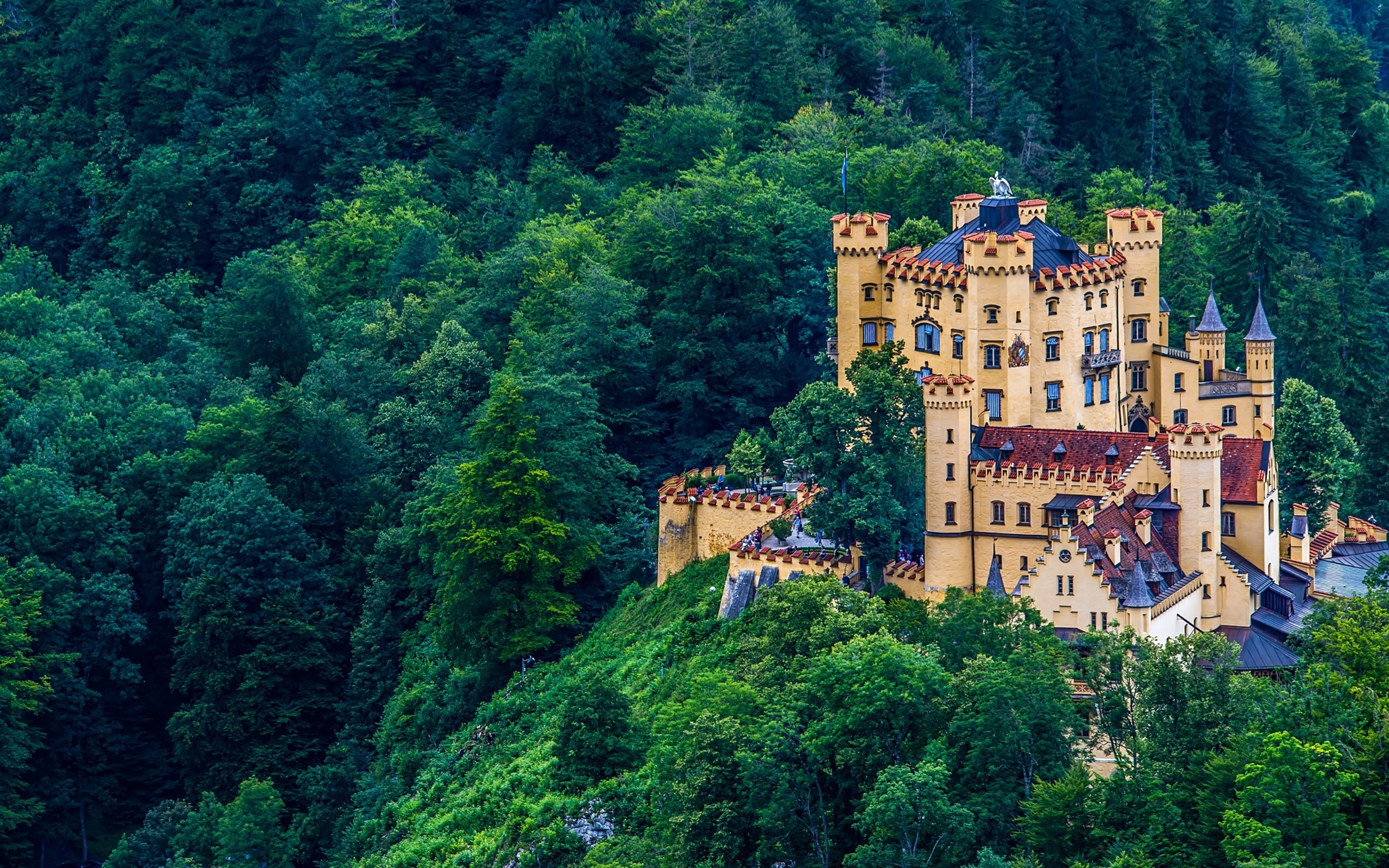 Обои лес, замок, германия, бавария, хоэншвангау, красочная, forest, castle, germany, bayern, hohenschwangau, colorful разрешение 2560x1600 Загрузить