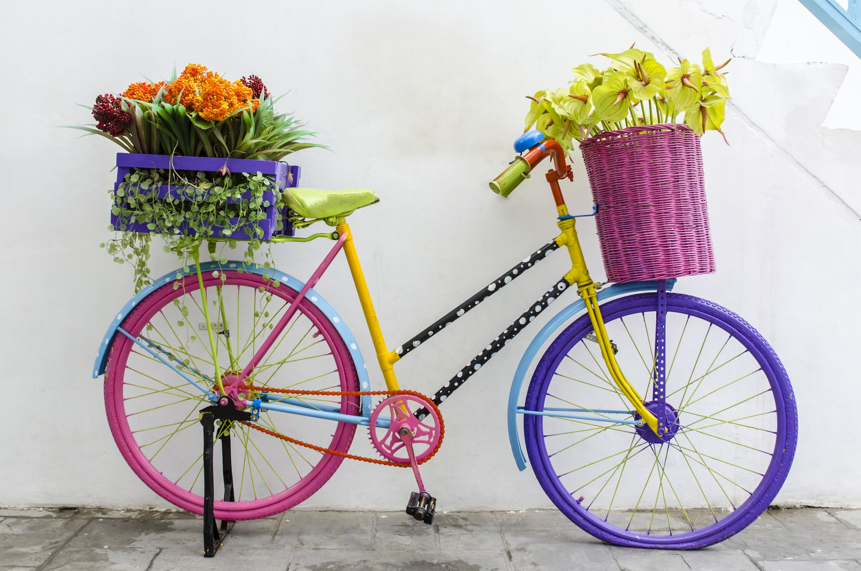 Декор цветы в велосипеде без смс
