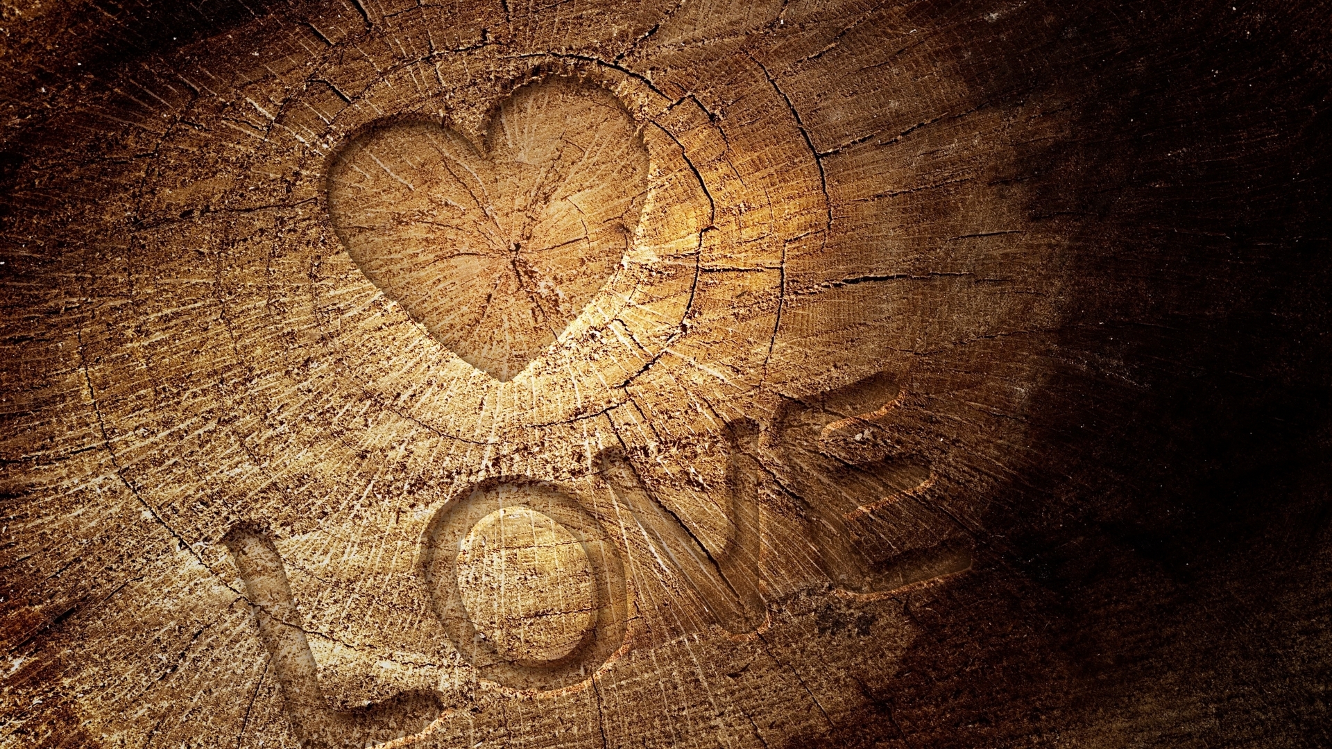 Обои дерево, сердце, любовь, древесина, дерева, влюбленная, сердечка, tree, heart, love, wood разрешение 1920x1080 Загрузить