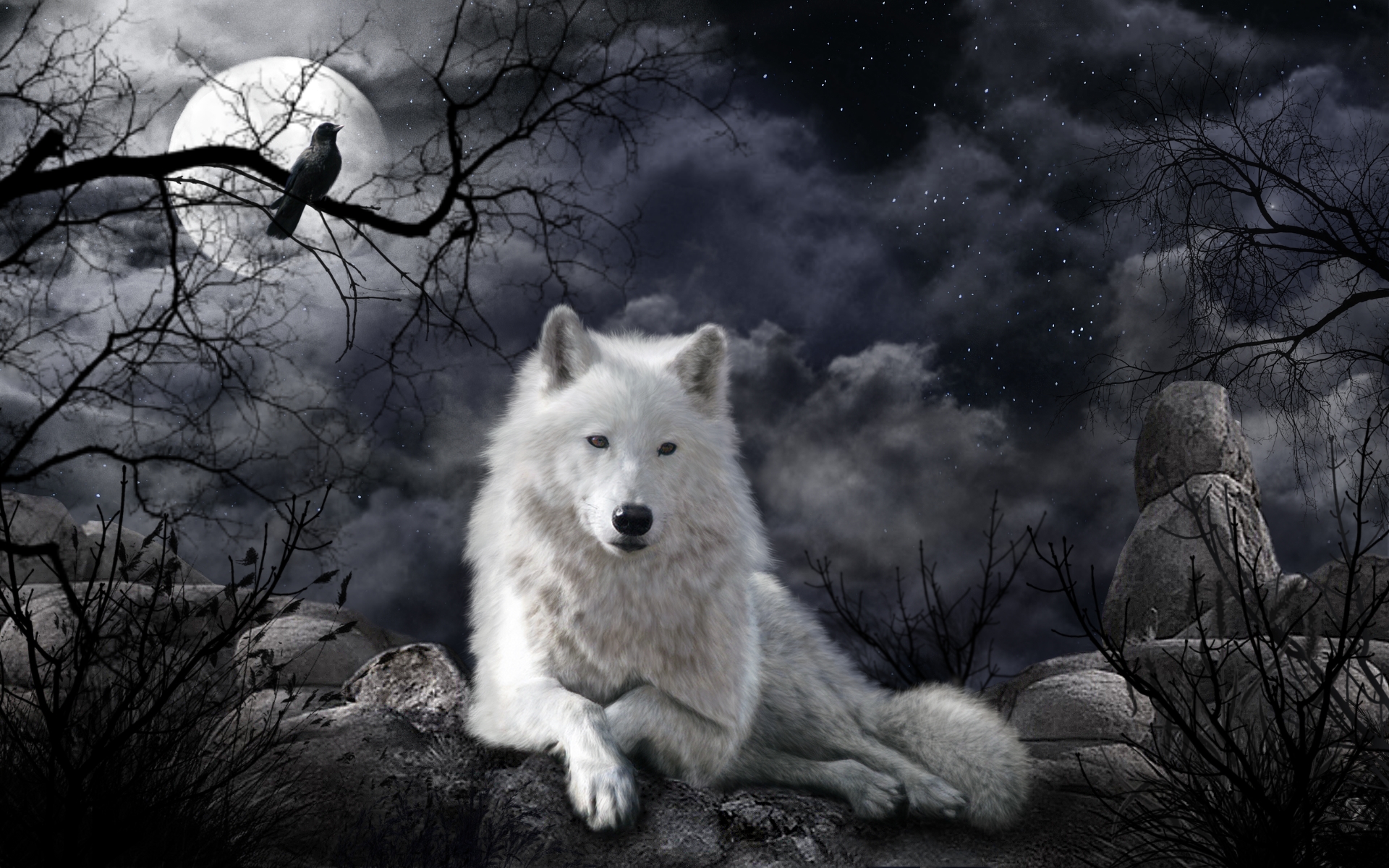 Загрузить обои арт, ночь, луна, волк, art, night, the moon, wolf.