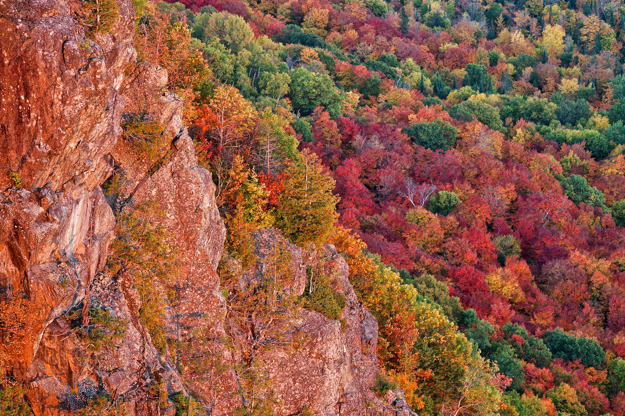 Обои деревья, скалы, лес, осень, сша, багрянец, мичиган, чиппева, trees, rocks, forest, autumn, usa, the crimson, michigan, chippewa разрешение 2048x1365 Загрузить