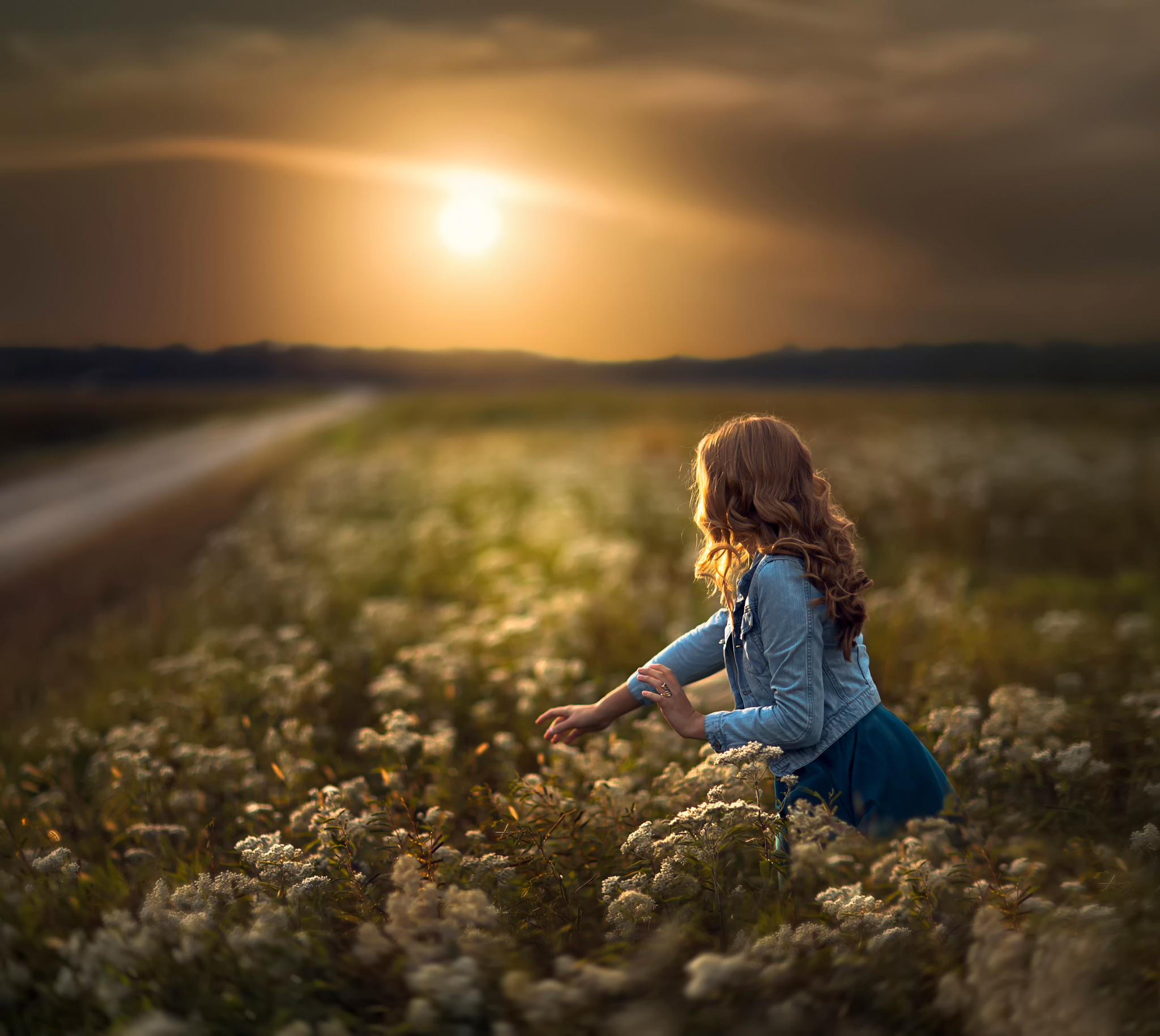 девушка закат поле цветы скачать