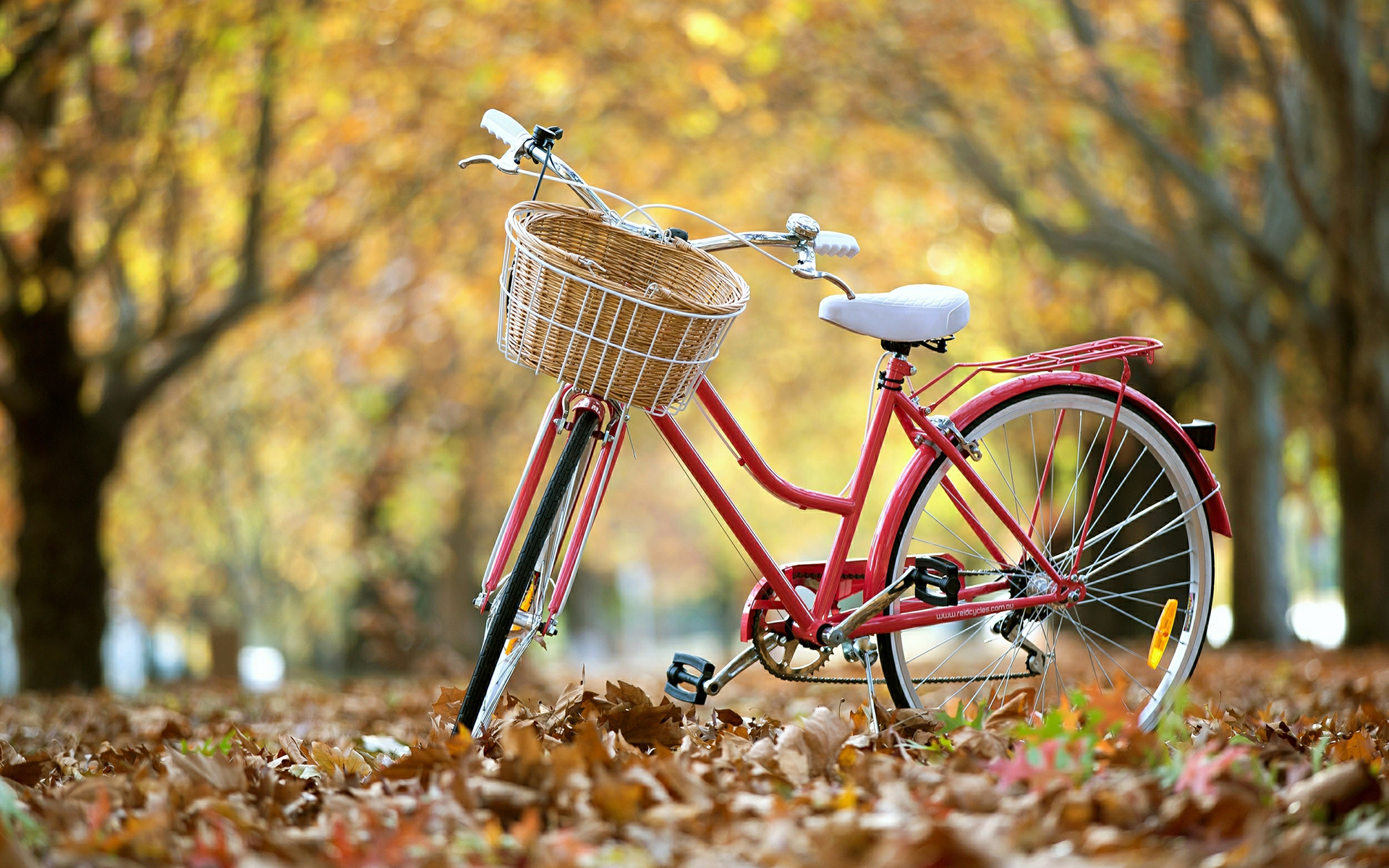 велосипед на цветочной поляне бесплатно