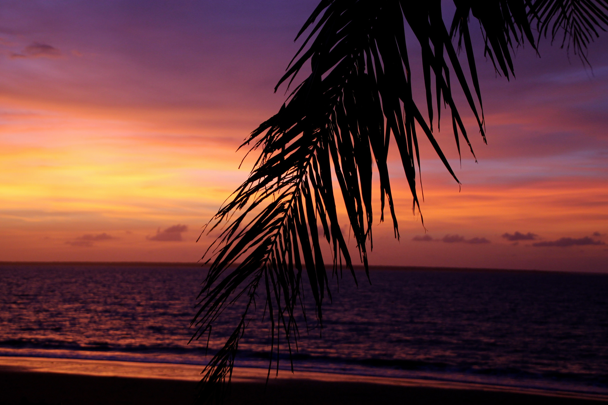 Обои небо, вечер, море, пальмы, тропики, the sky, the evening, sea, palm trees, tropics разрешение 2048x1365 Загрузить