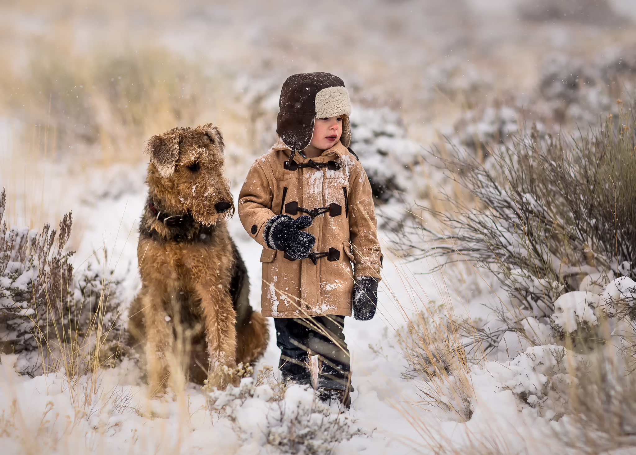 Обои снег, собака, мальчик, друзья, snow, dog, boy, friends разрешение 2048x1467 Загрузить