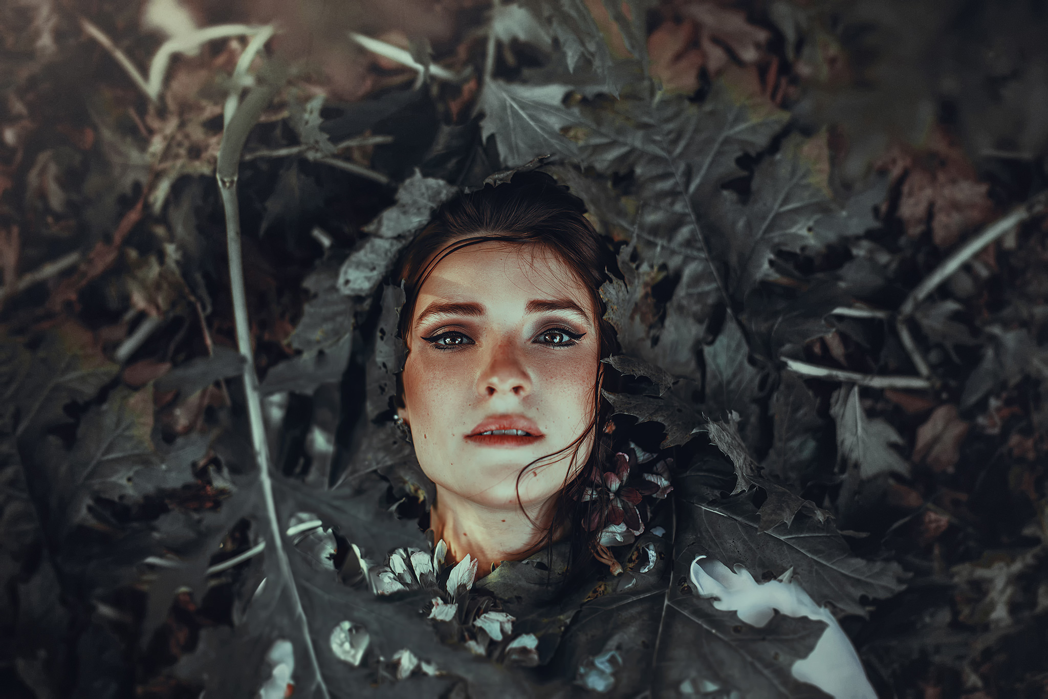 Обои листья, портрет, лицо, ronny garcia, rotten leaves, leaves, portrait, face разрешение 2048x1366 Загрузить