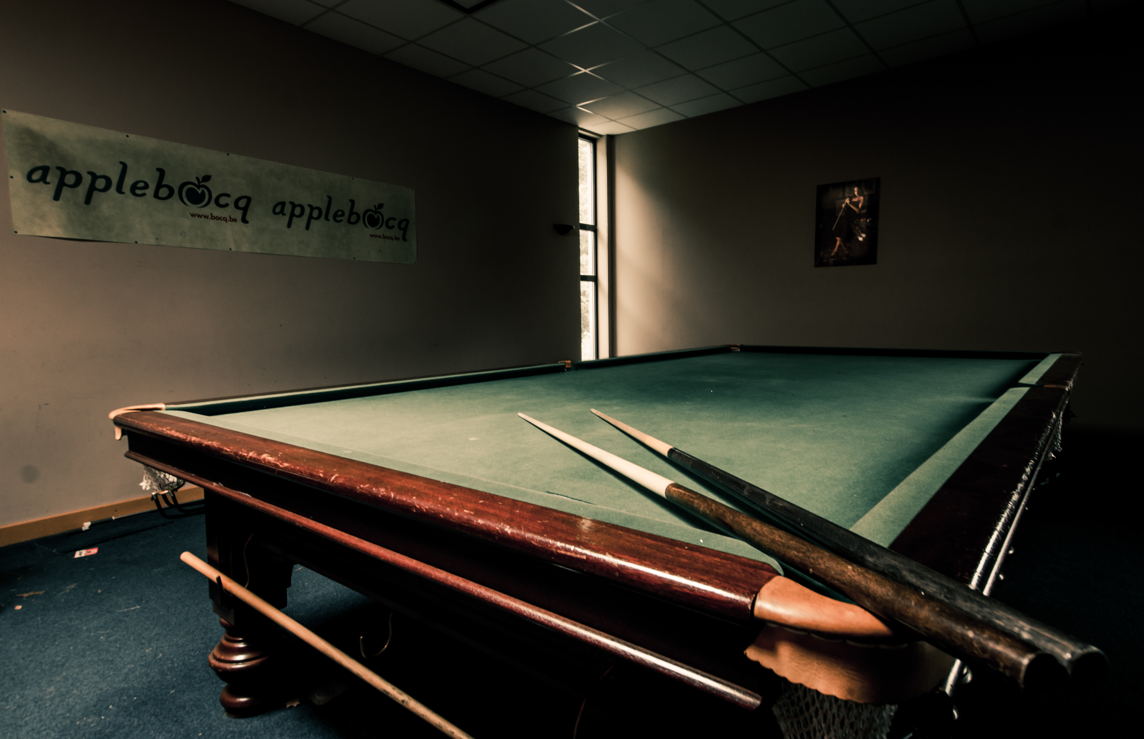 Billiard. Фрэнсис Андерсон бильярд. Киллиан биллиард. Бильярдный стол. Русский биллиард.