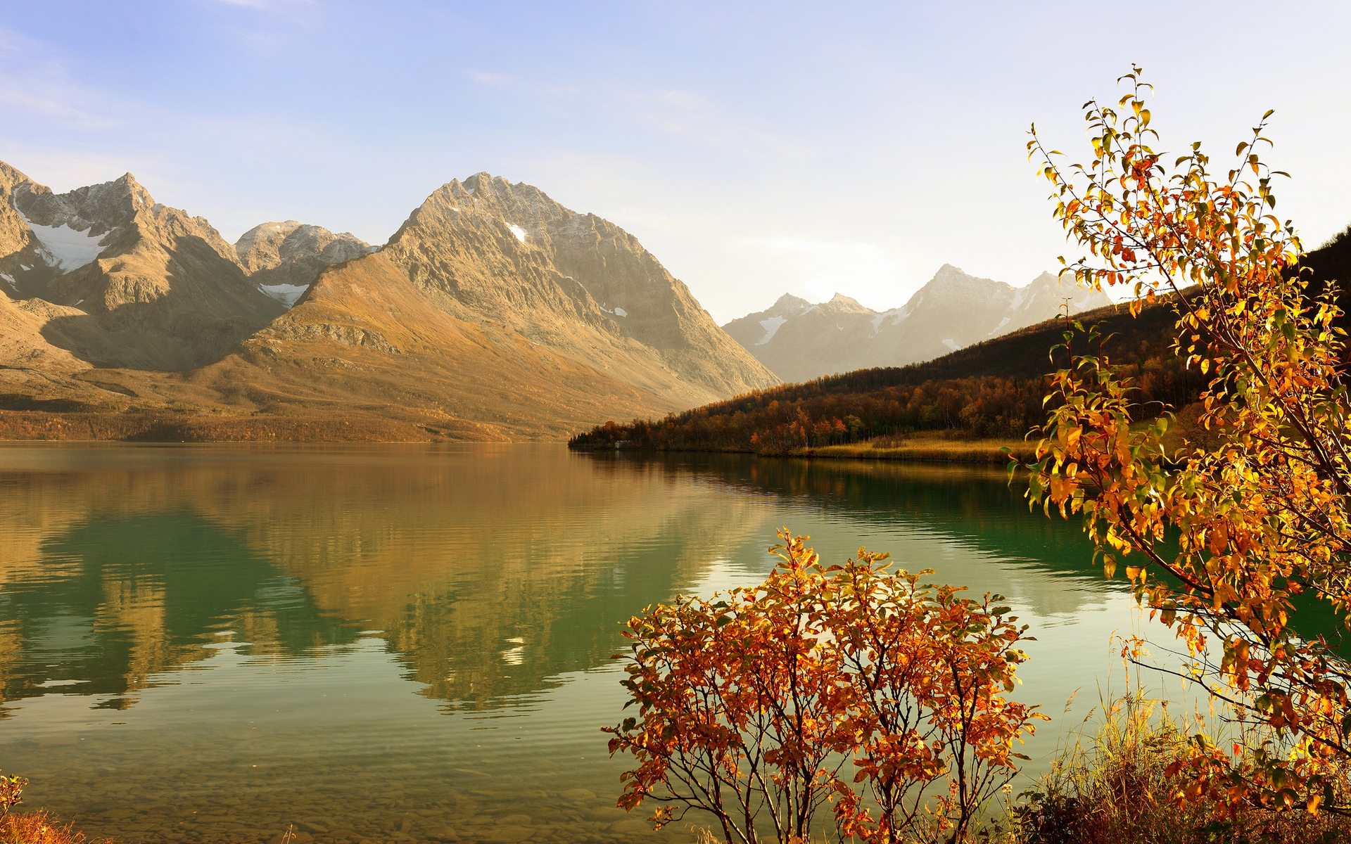 Обои горы, дерево, лес, осень, залив, кустарник, mountains, tree, forest, autumn, bay, shrub разрешение 1920x1200 Загрузить