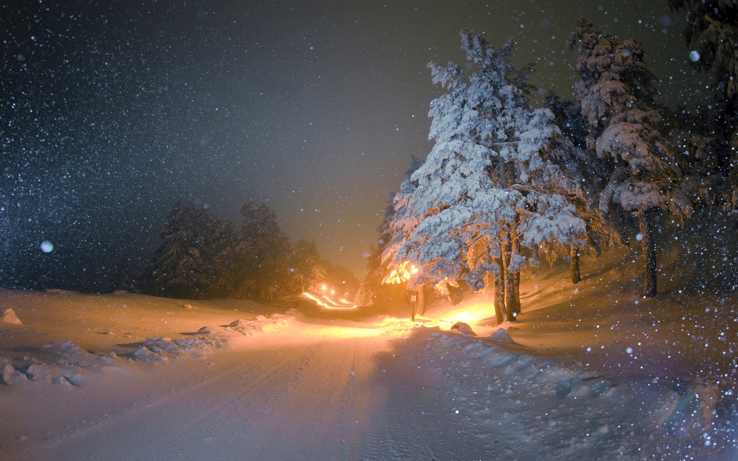природа северное сияние деревья зима снег дорога nature North lights trees winter snow road без смс