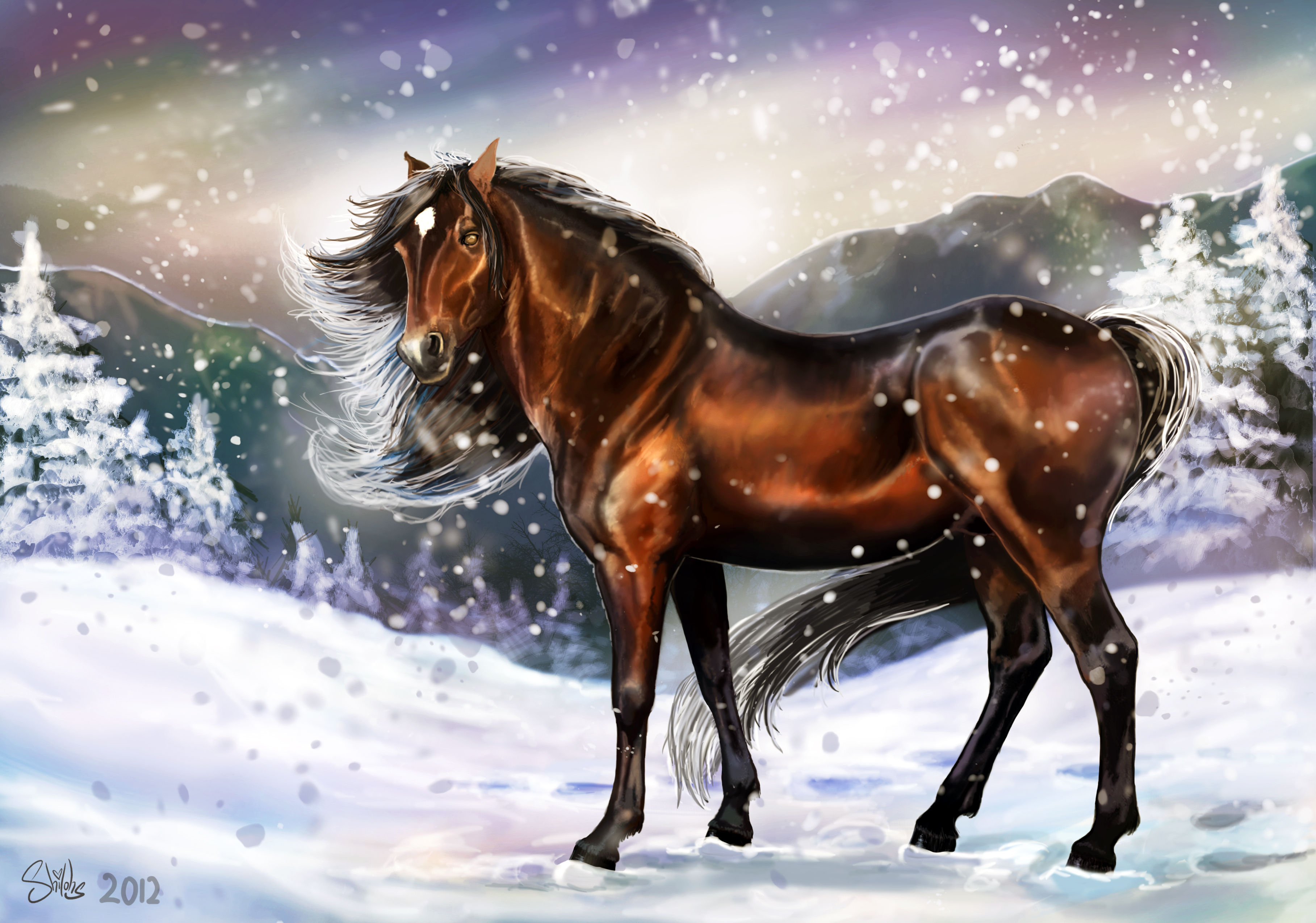 Лошади зимой скачать