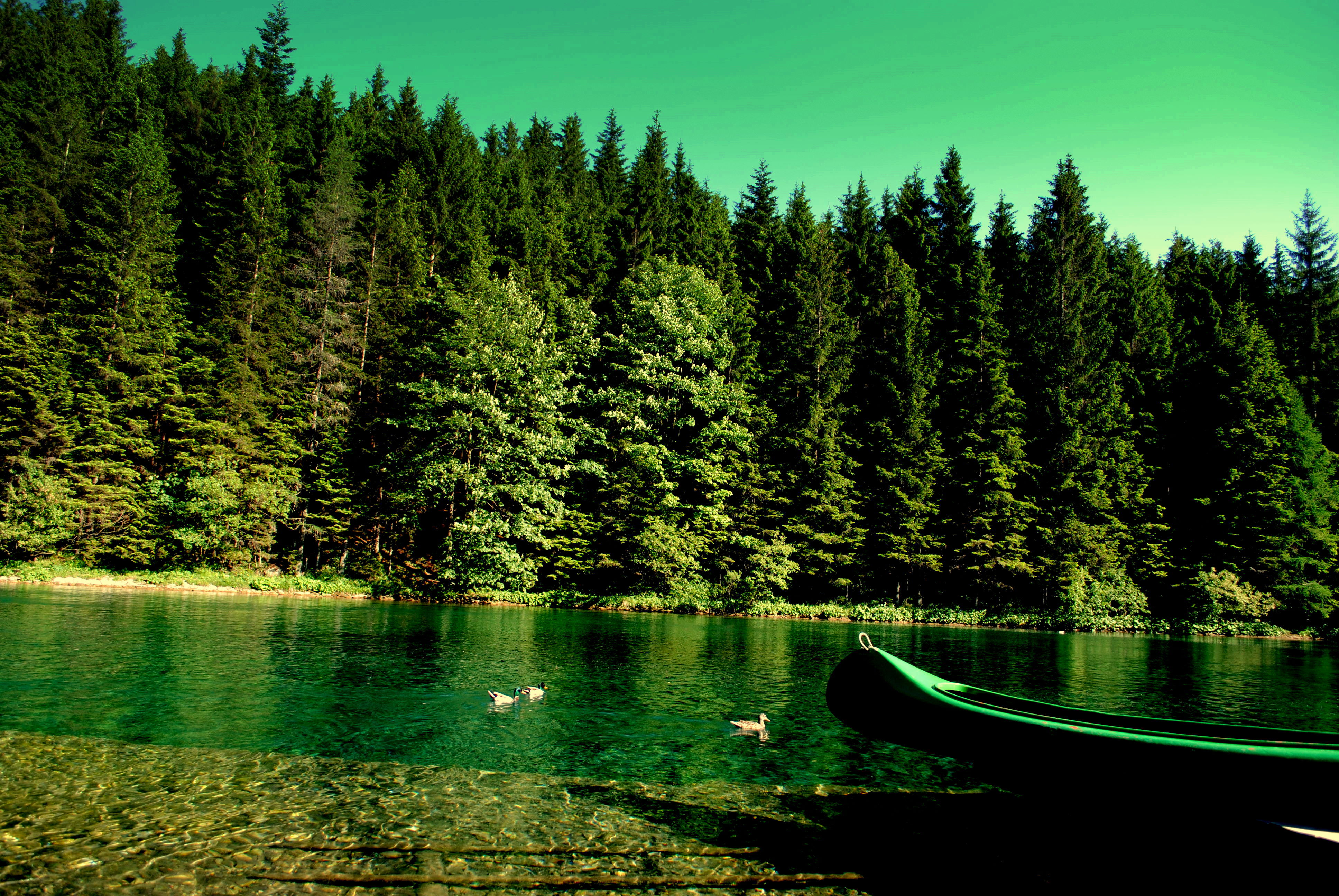 Лучшие обои фото на телефон. Озеро Рица. Озеро Грин Лейк Гавайи. Телецкое озеро. Природа лес.
