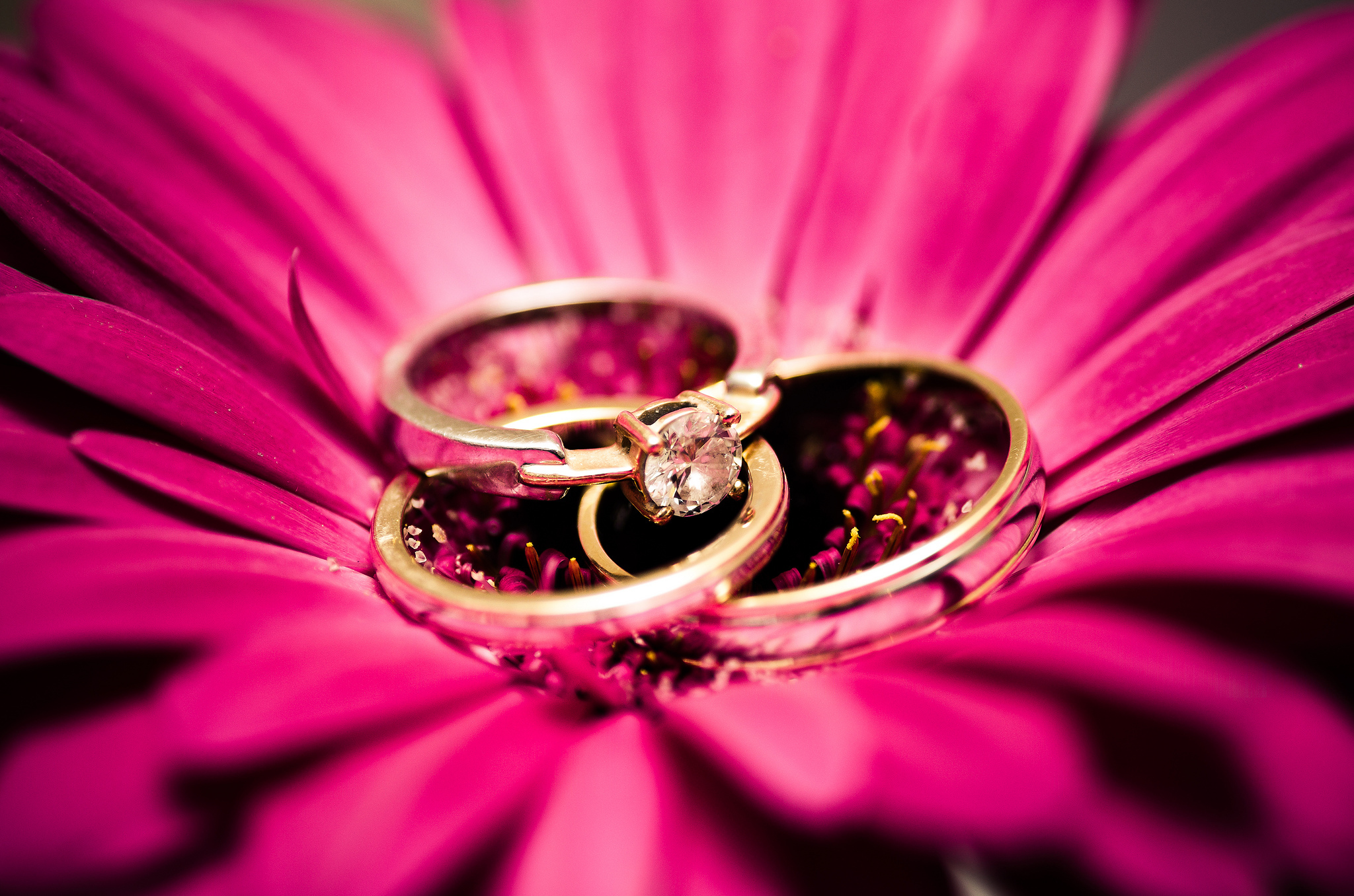 Фото кольца и цветов. Красивые кольца. Кольцо цветы. Кольцо в цветах. Свадебные кольца.