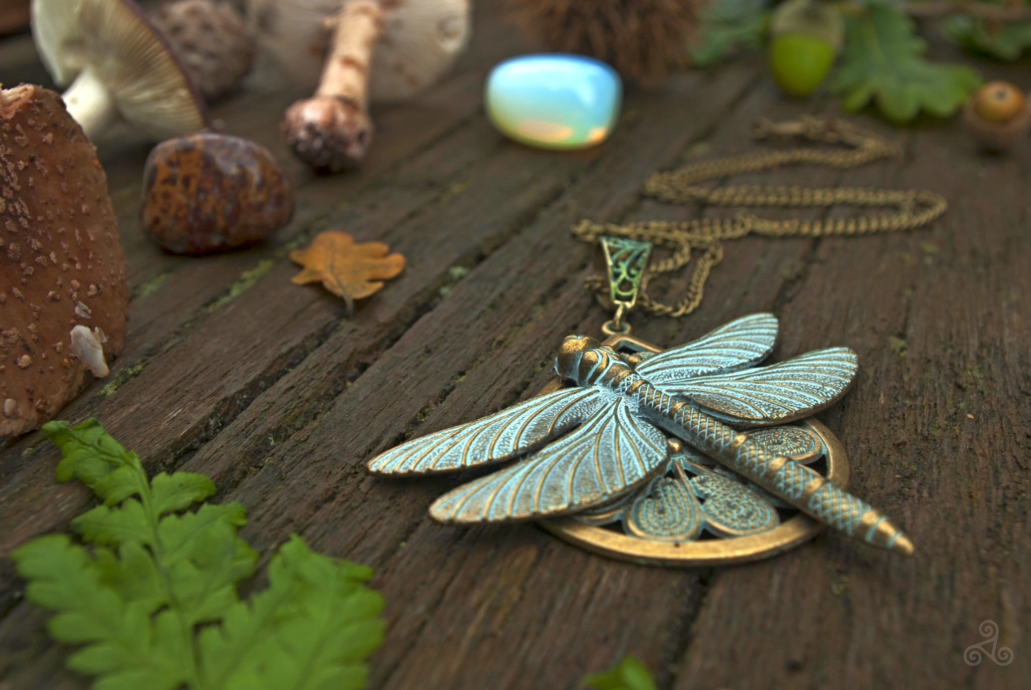 Обои стрекоза, кулон, украшение, dragonfly, pendant, decoration разрешение 2048x1371 Загрузить