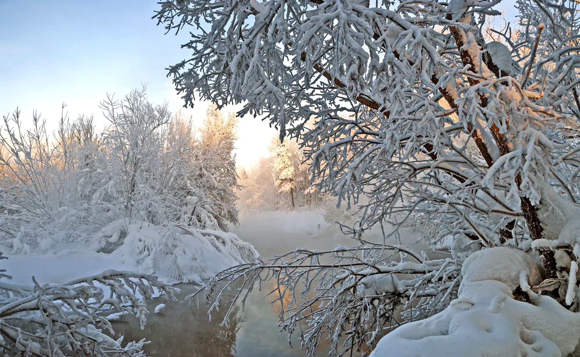 Река снежный сугроб. Зима. Зимний лес в инее. Деревья в зимнем лесу. Зимний лес с рекой.