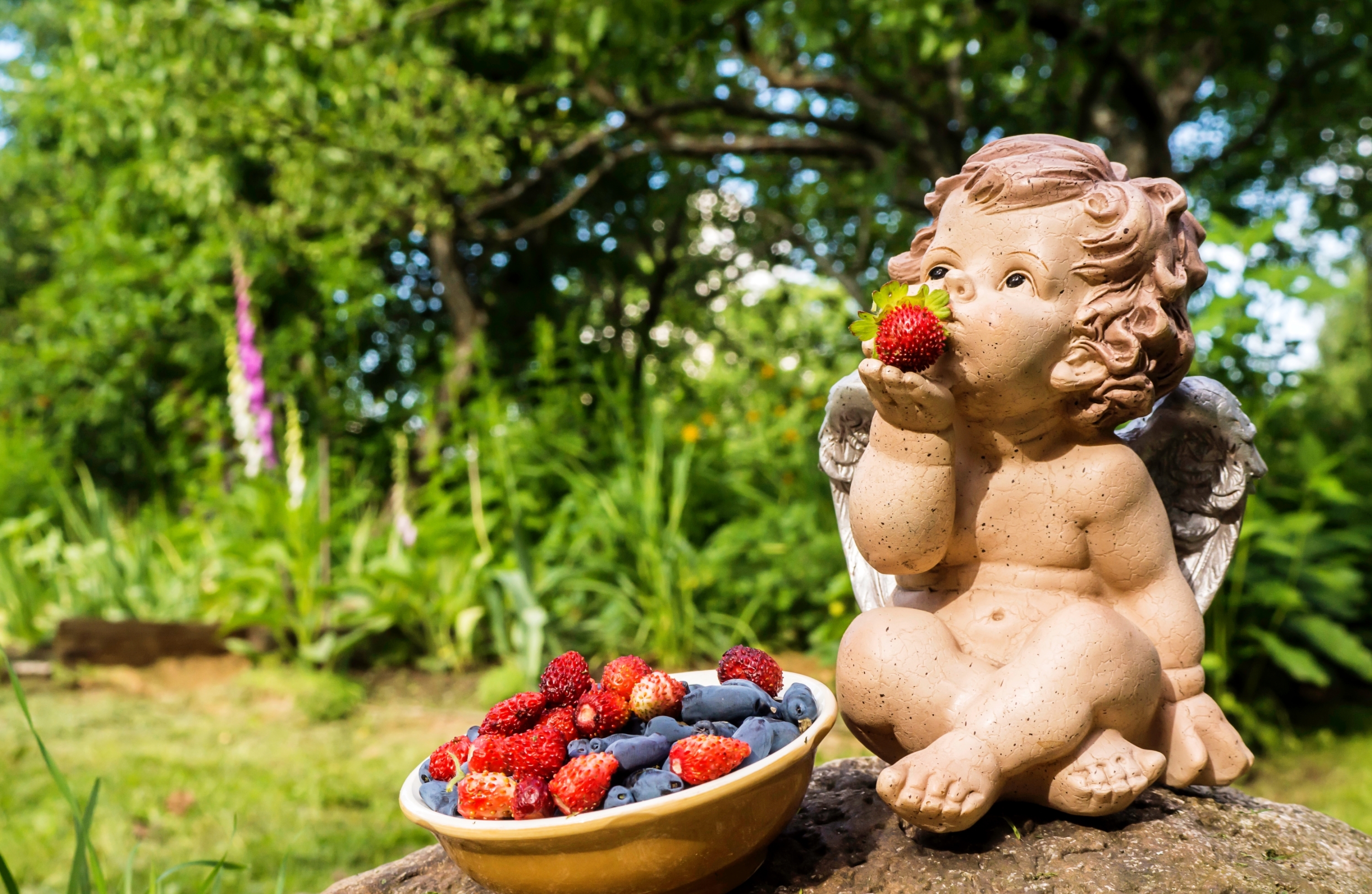 Обои статуэтка, ангел, ягоды, земляника, жимолость, figurine, angel, berries, strawberries, honeysuckle разрешение 3000x1955 Загрузить