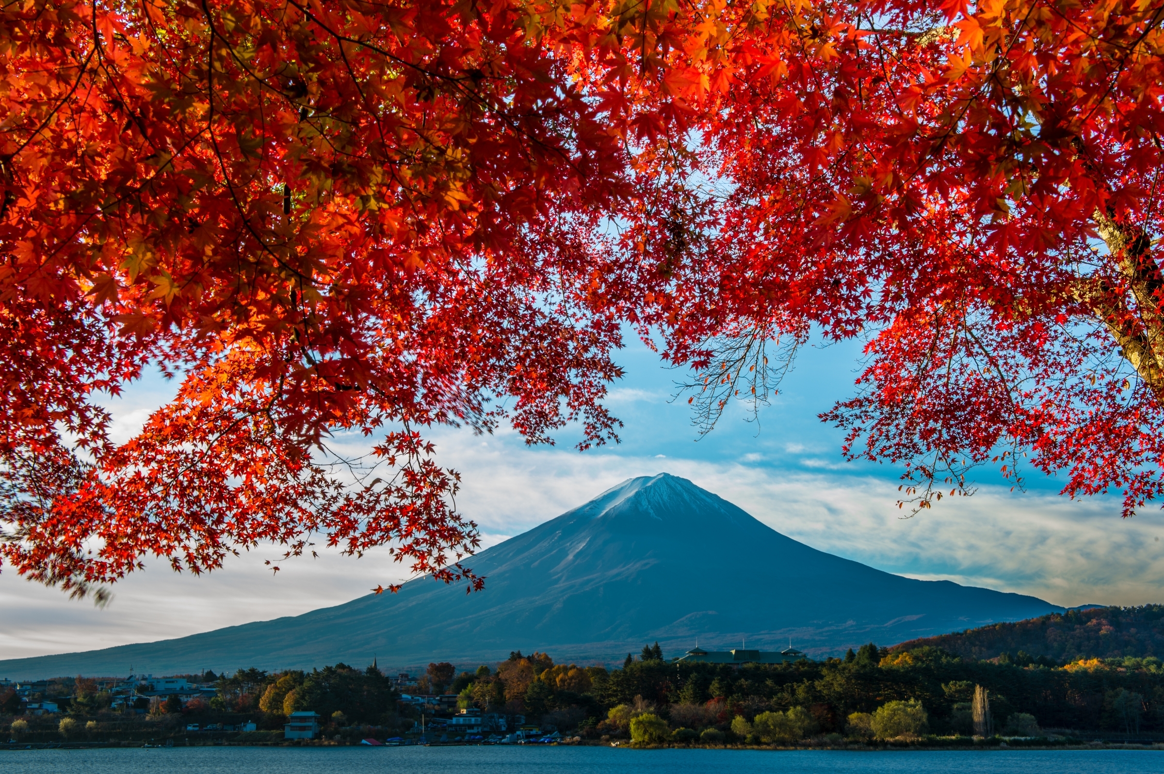 Обои гора, осень, япония, клен, фудзияма, mountain, autumn, japan, maple, fuji разрешение 2400x1597 Загрузить