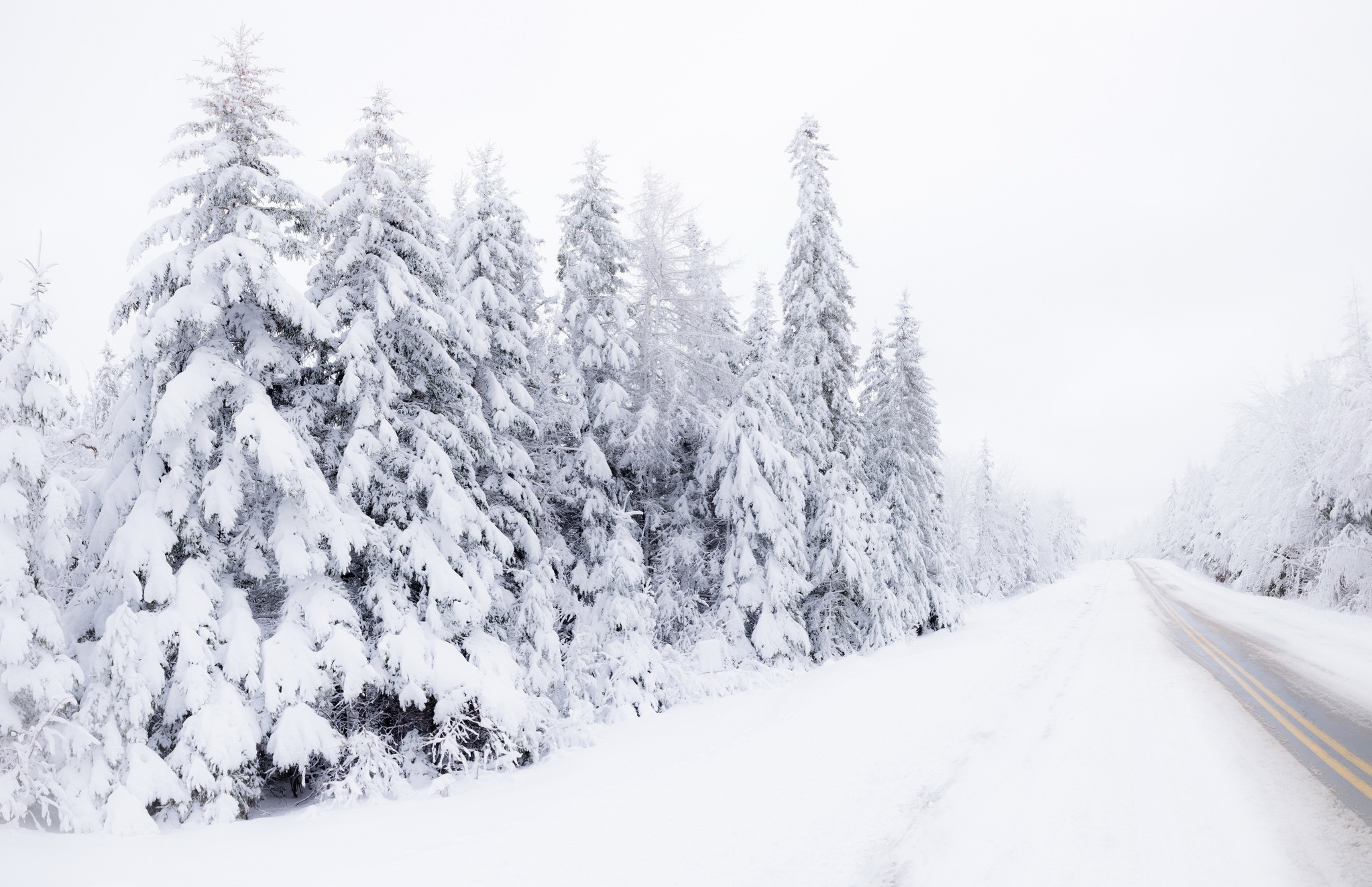 Обои дорога, снег, лес, зима, road, snow, forest, winter разрешение 2046x1322 Загрузить
