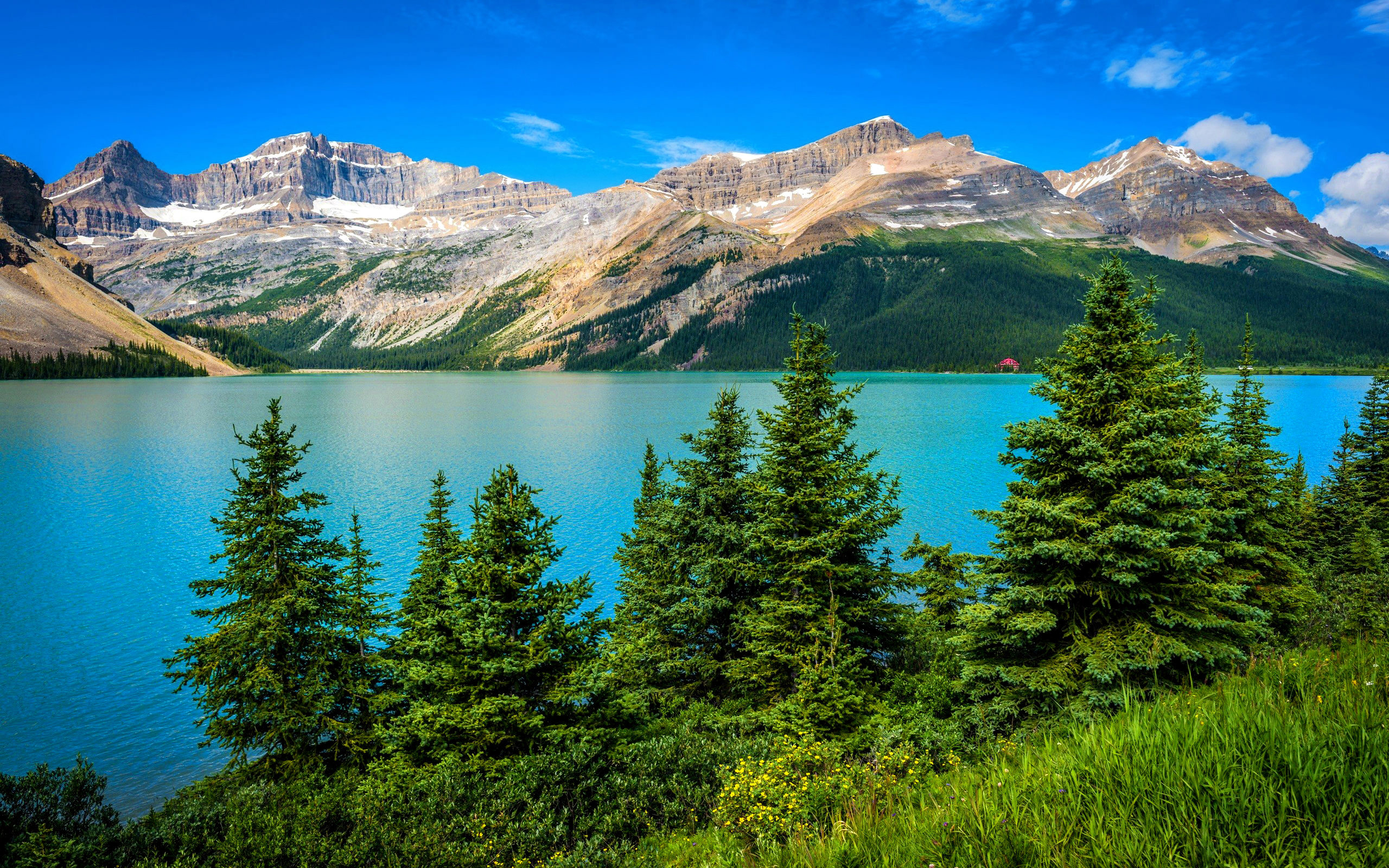 Обои горное озеро, деревь, ландшафт, валлпапер, mountain lake, trees, landscape, wallpaper разрешение 2560x1600 Загрузить