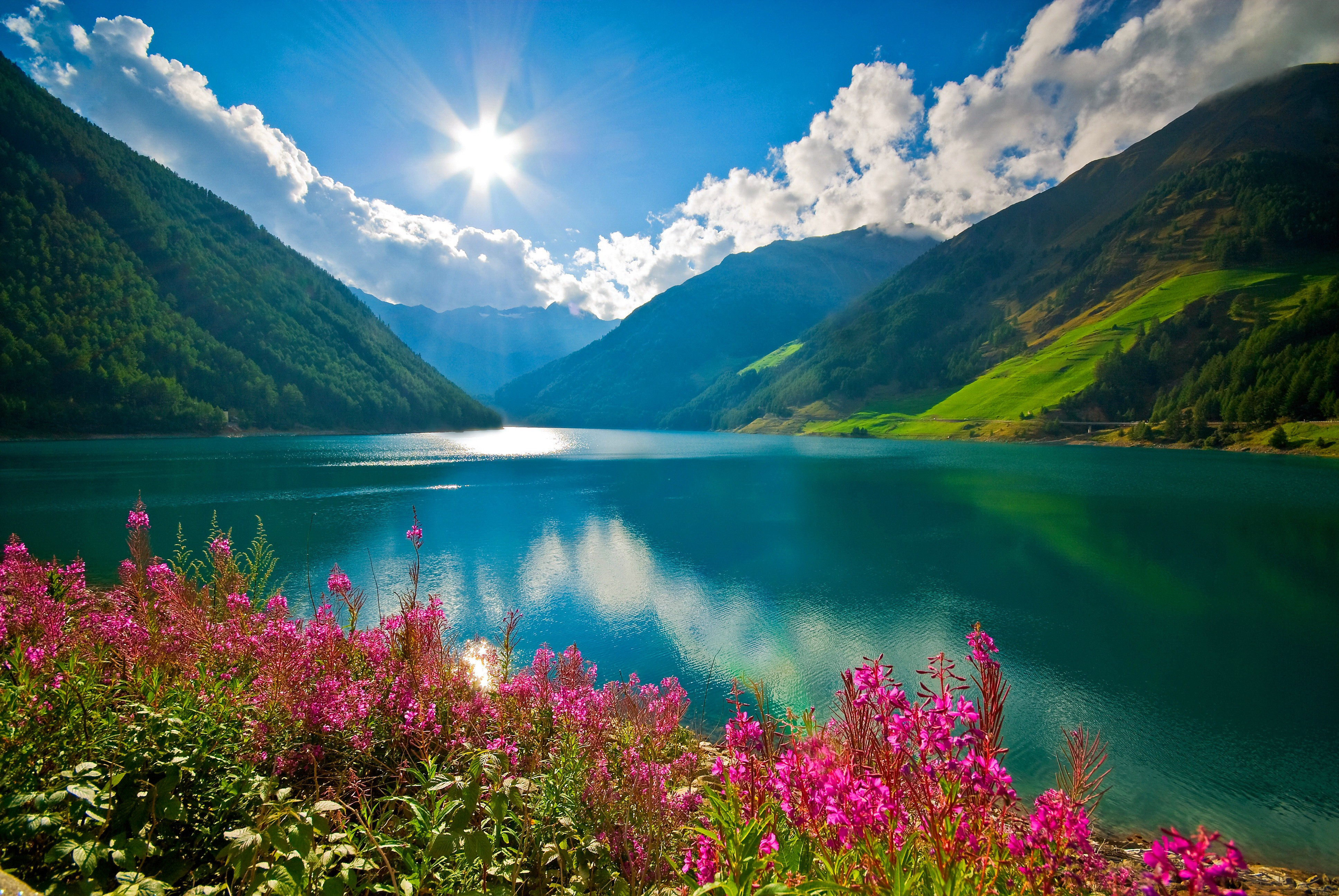 Горное озеро с цветами