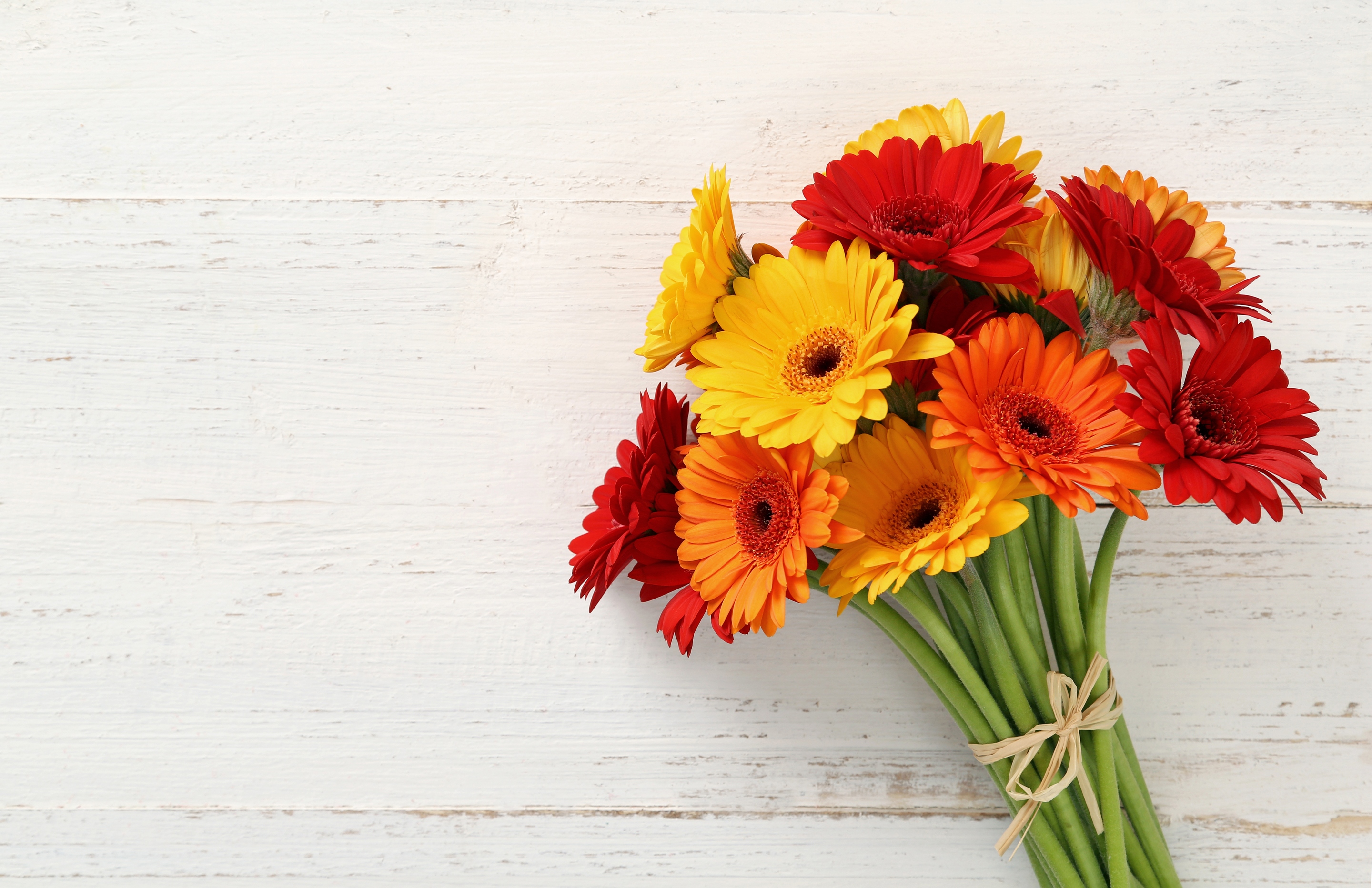 Обои красные, букет, желтые, оранжевые, герберы, букеты, gerberas, red, bouquet, yellow, orange, gerbera, bouquets разрешение 2880x1865 Загрузить