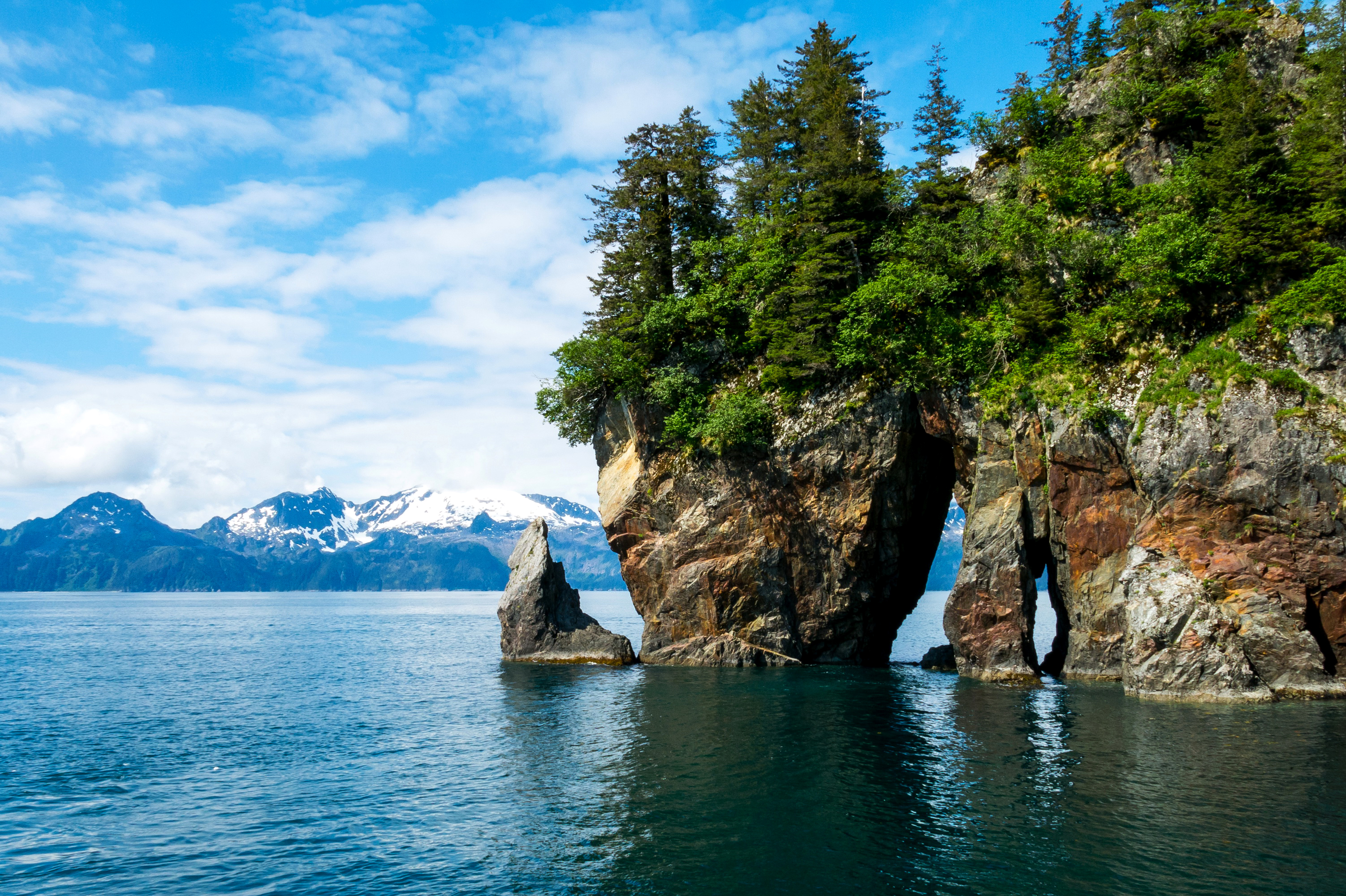 Обои деревья, kenai fjords national park, кенай-фьордс, горы, скалы, камни, берег, сша, аляска, фьорды, trees, kenai fjords, mountains, rocks, stones, shore, usa, alaska, fjords разрешение 3004x2000 Загрузить