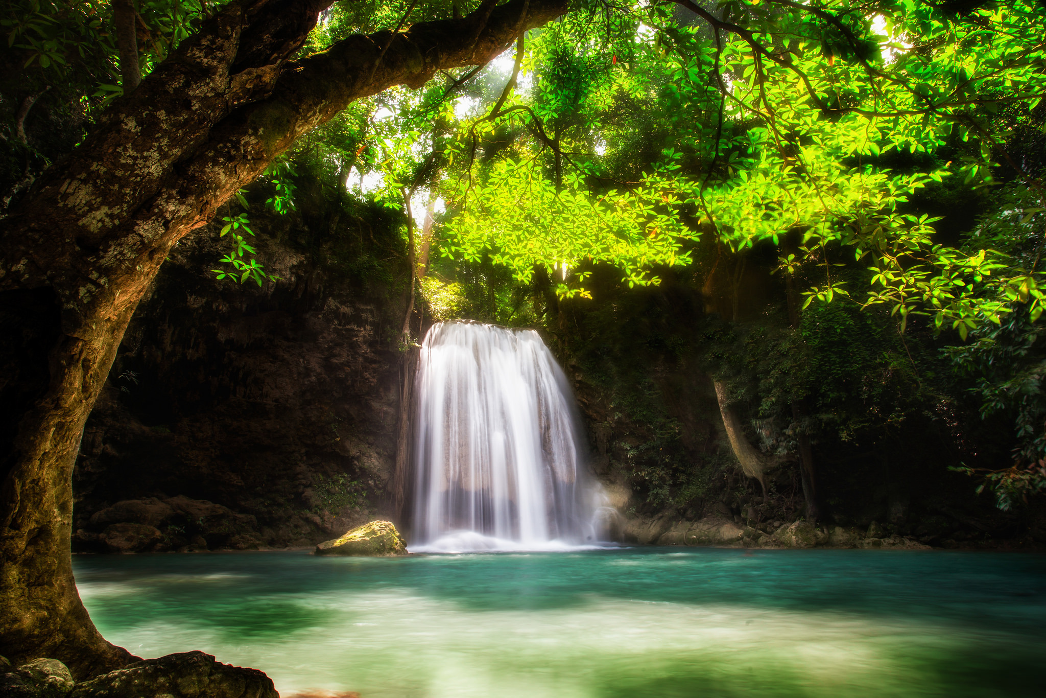 Обои вода, дерево, водопад, поток, зеленые листья, water, tree, waterfall, stream, green leaves разрешение 2048x1366 Загрузить