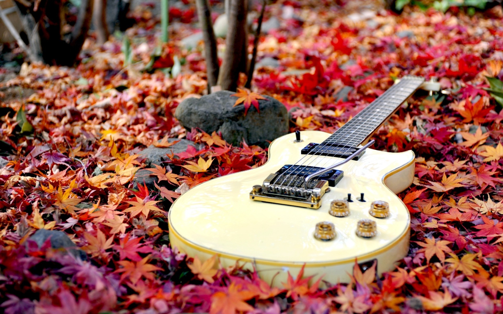 Обои лес, листья, гитара, осень, осен,  листья, forest, leaves, guitar, autumn разрешение 1920x1200 Загрузить