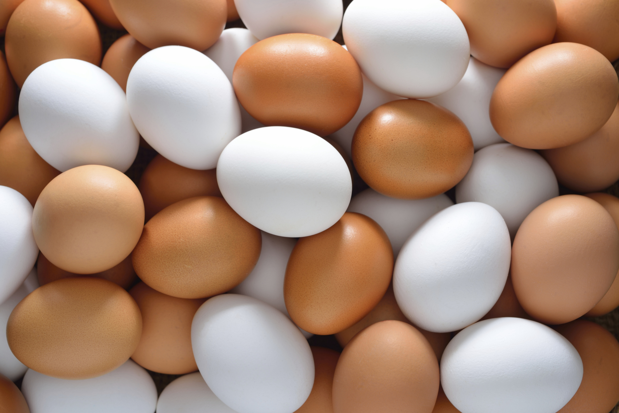 Фотки яичек. Сорт яиц с0. Яйца кур. Яйцо (пищевой продукт). Картинка яйца куриные.