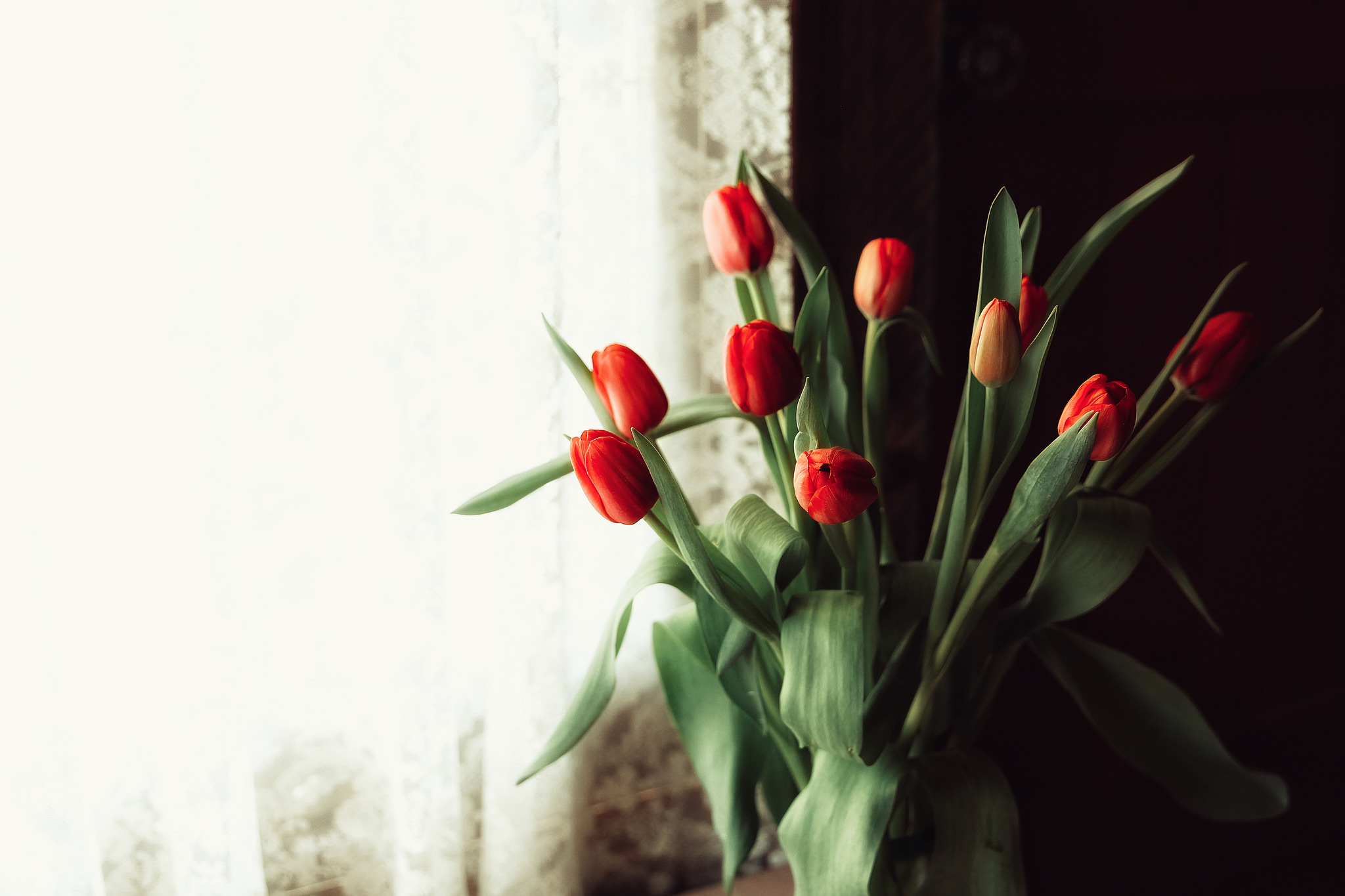 Посажу цветы тюльпаны песня