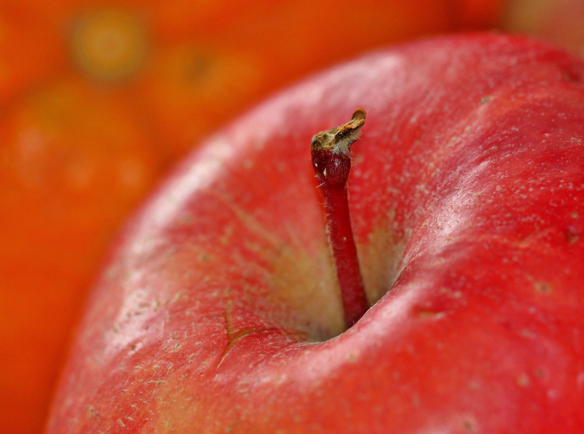 Обои макро, фрукты, витамины, яблоко, красное, macro, fruit, vitamins, apple, red разрешение 1920x1427 Загрузить