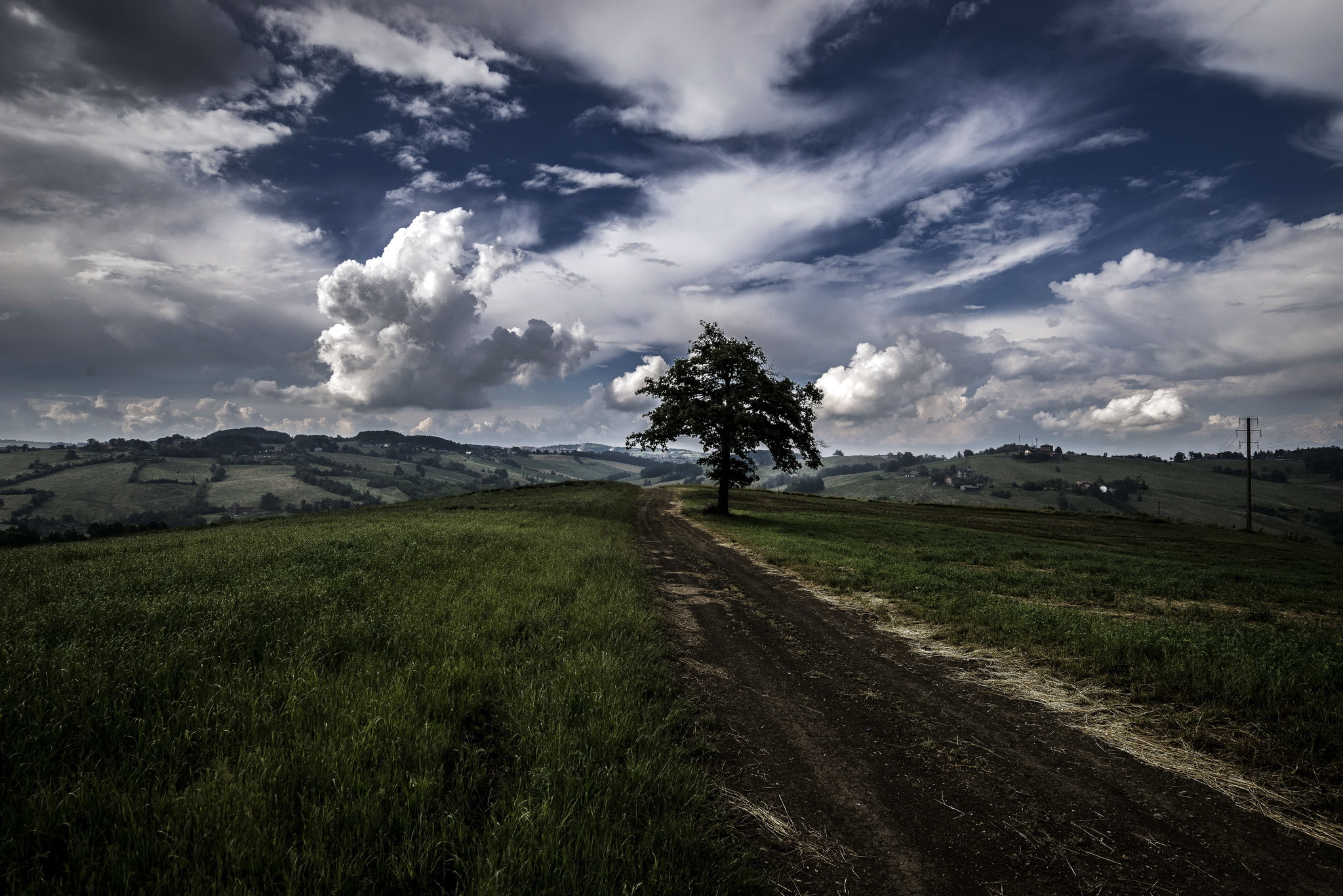 Обои дорога, дерево, поле, road, tree, field разрешение 2048x1367 Загрузить