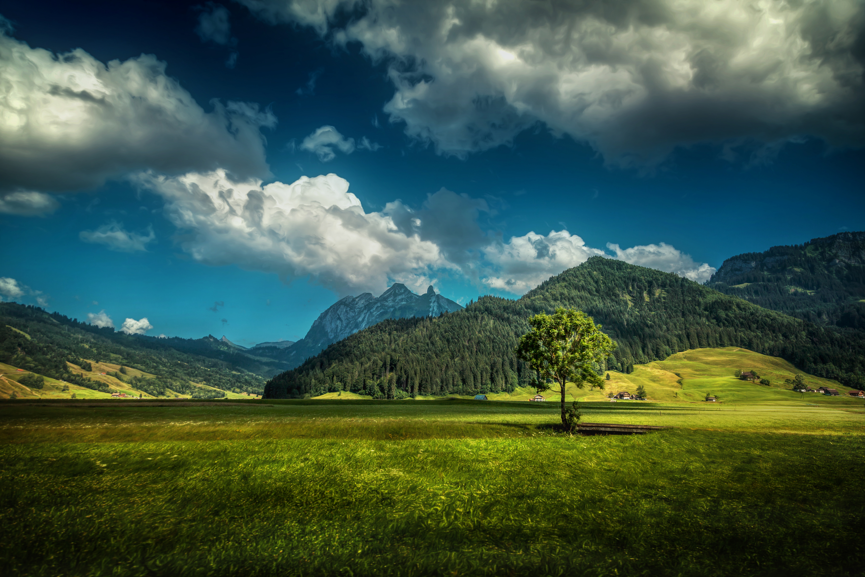 Обои трава, облака, горы, дерево, лес, поле, домики, швейцария, grass, clouds, mountains, tree, forest, field, houses, switzerland разрешение 3600x2400 Загрузить