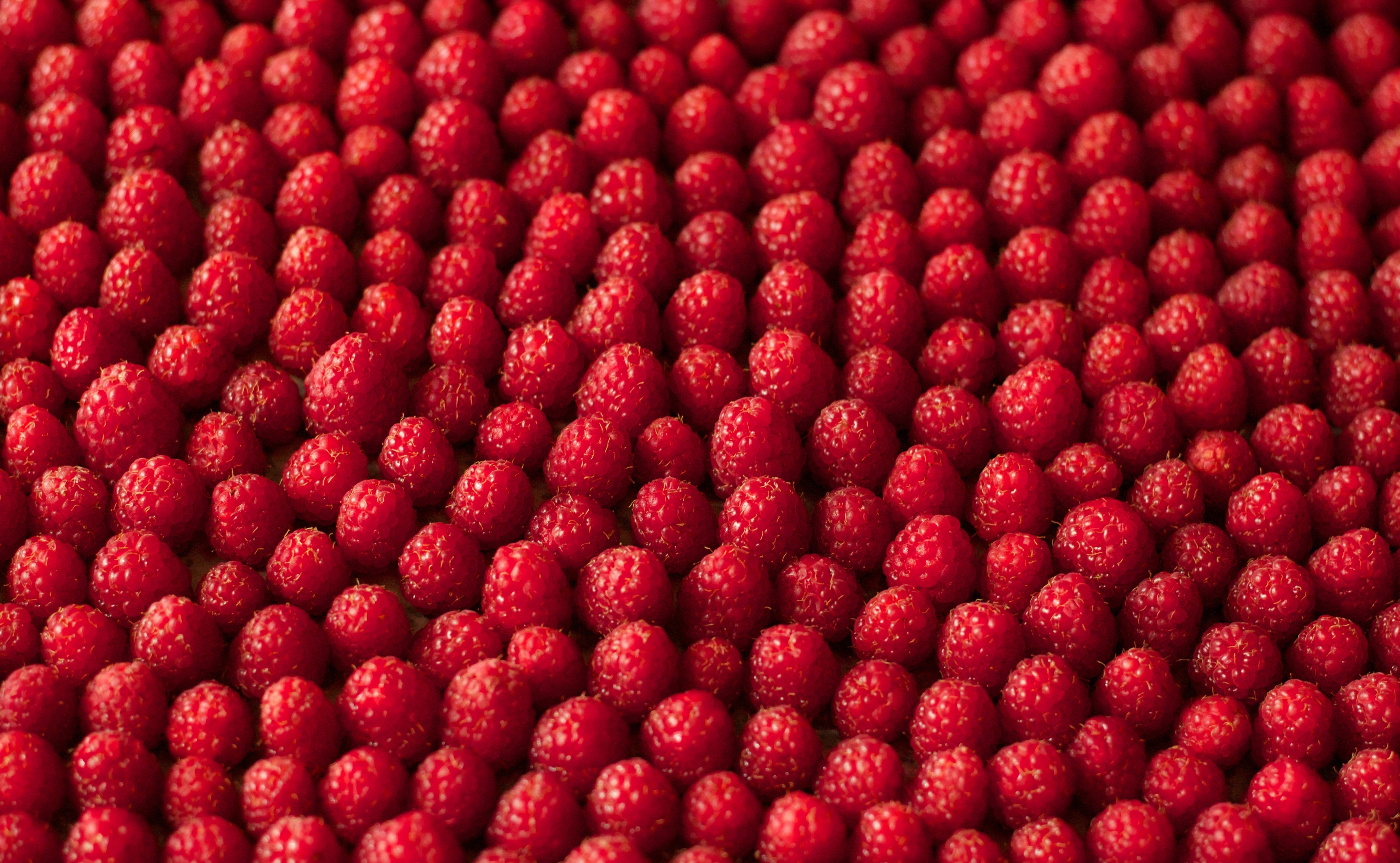 Обои текстура, макро, малина, ягоды, texture, macro, raspberry, berries разрешение 5112x3154 Загрузить