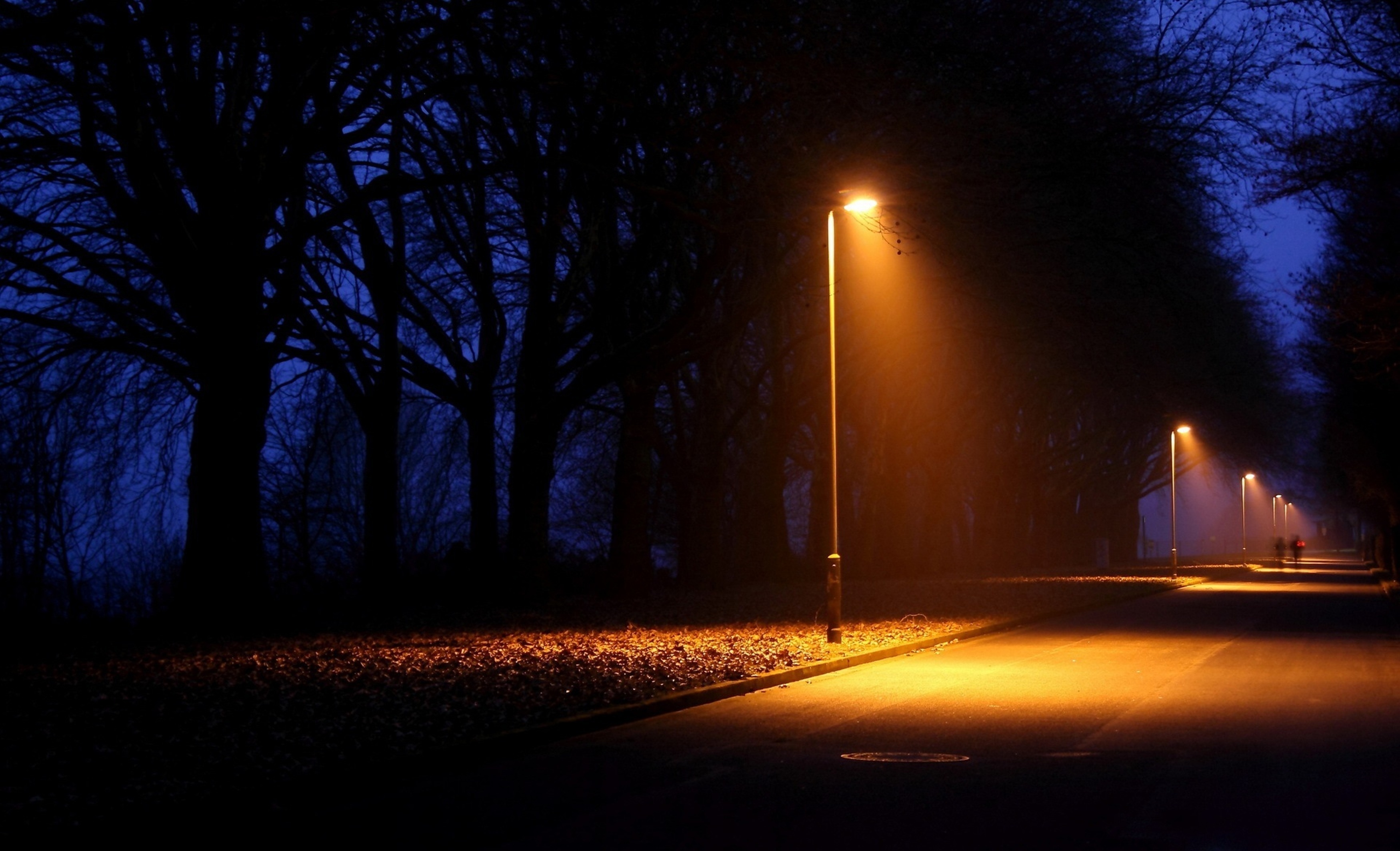 Night posting. Ночная улица с фонарями. Фонарь ночью. Уличный фонарь ночью. Ночной парк с фонарями.