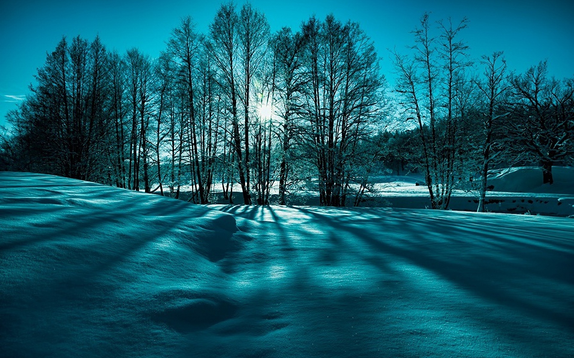 природа рельсы зима снег деревья nature rails winter snow trees загрузить
