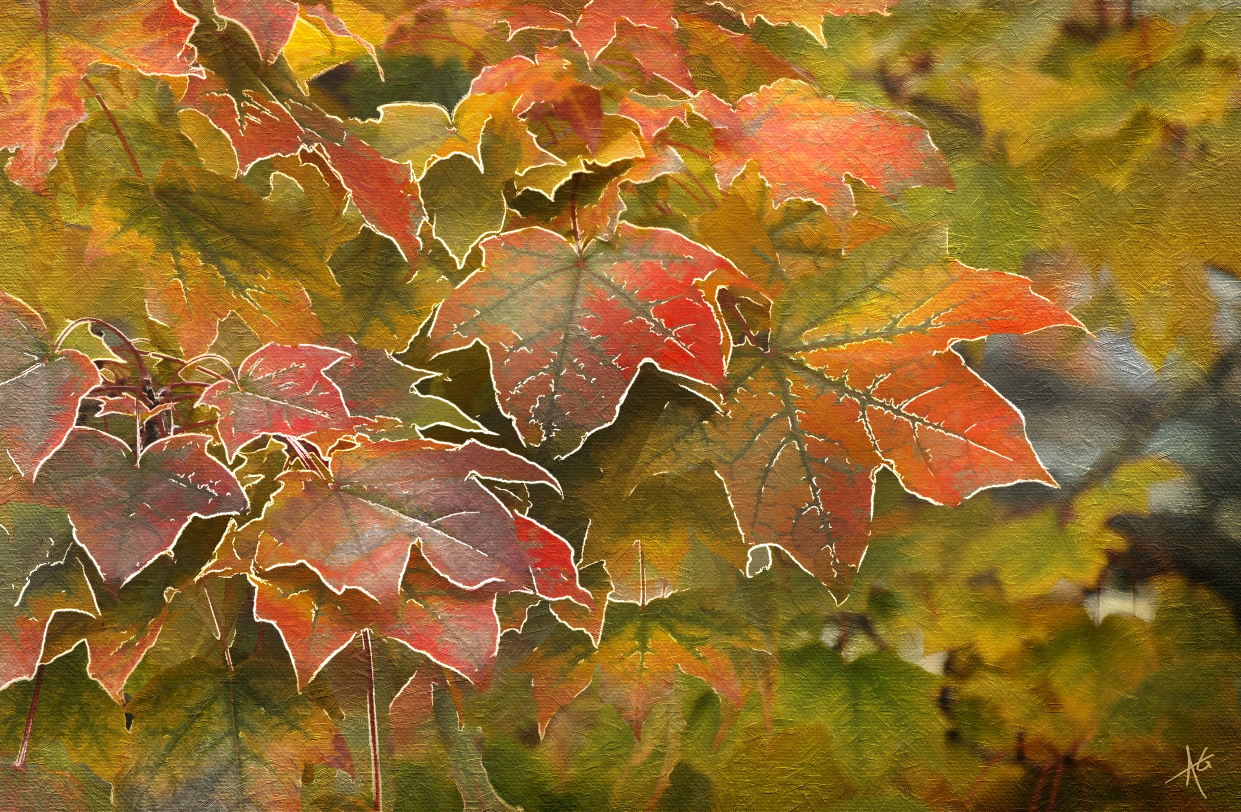 Обои листья, осень, клен, leaves, autumn, maple разрешение 4000x2619 Загрузить