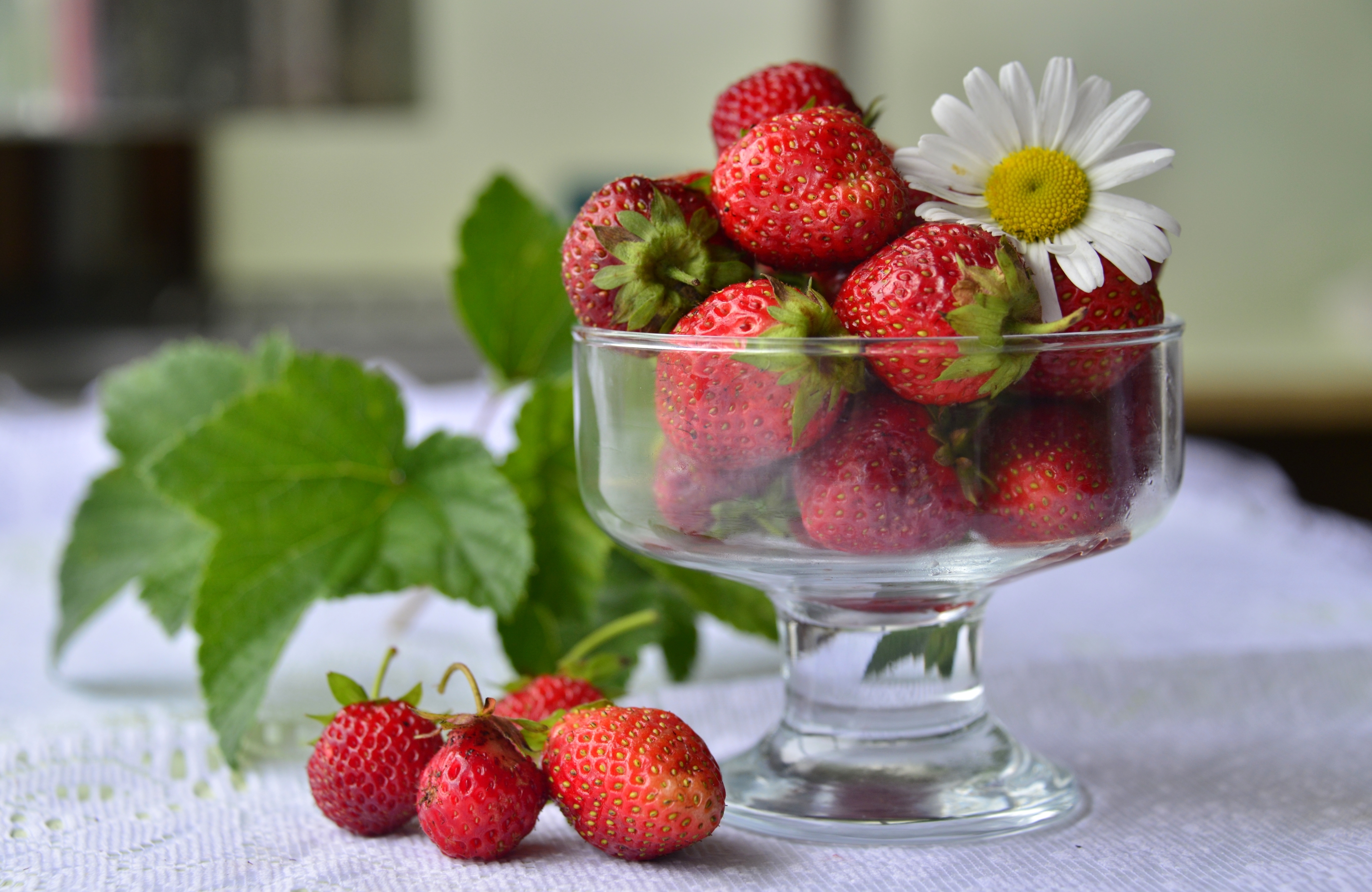 Обои клубника, красный, ромашка, ягоды, вазочка, strawberry, red, daisy, berries, vase разрешение 3300x2145 Загрузить