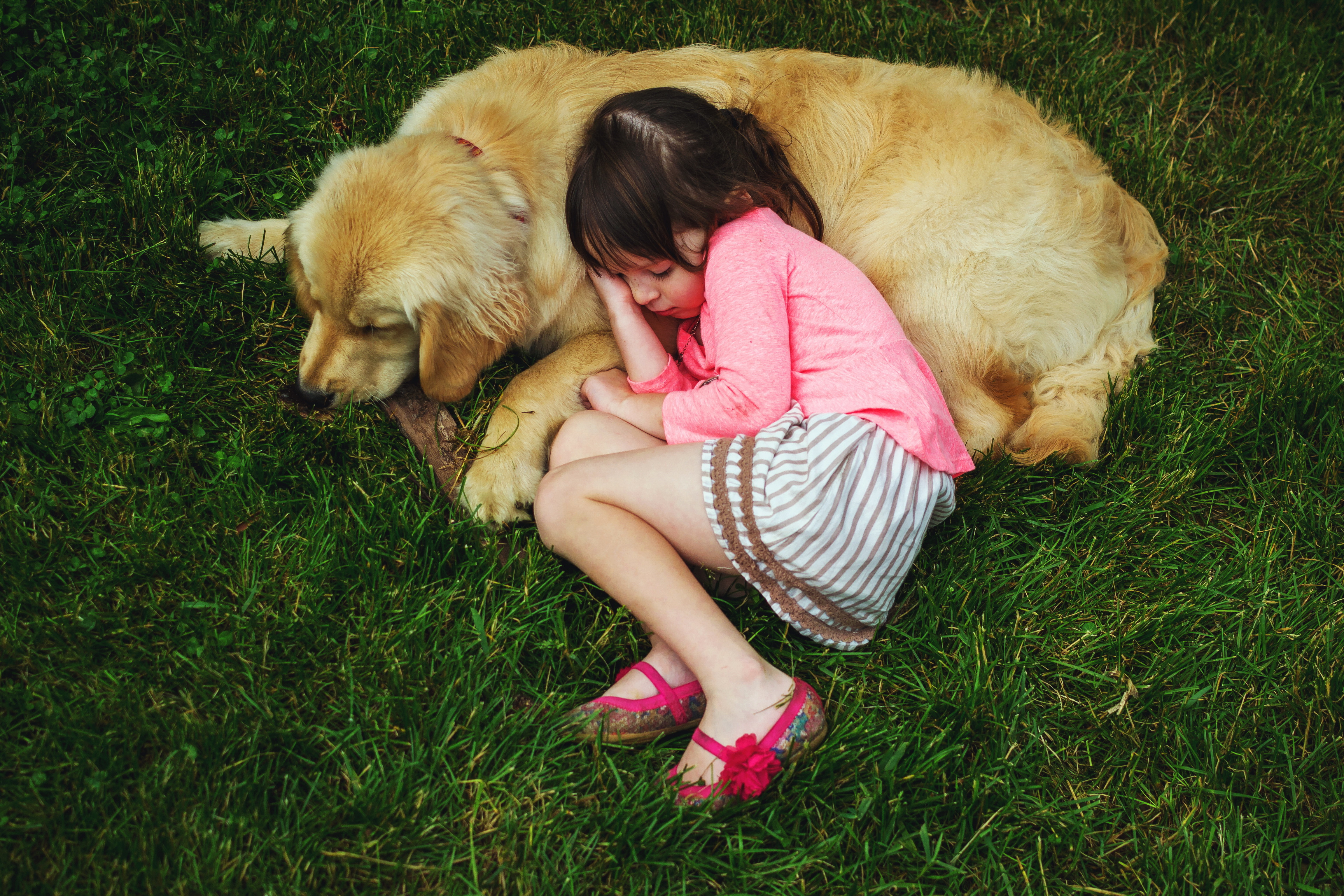 девочка с собакой на лужайке бесплатно